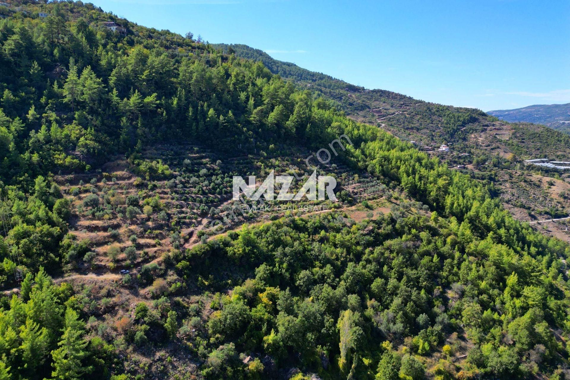 Alanya Türktaş'ta 4.298 M² Satılık Tarla - Görsel 10