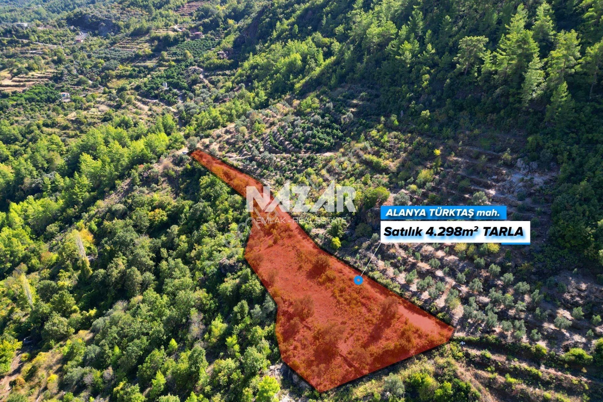 Alanya Türktaş'ta 4.298 M² Satılık Tarla - Görsel 2