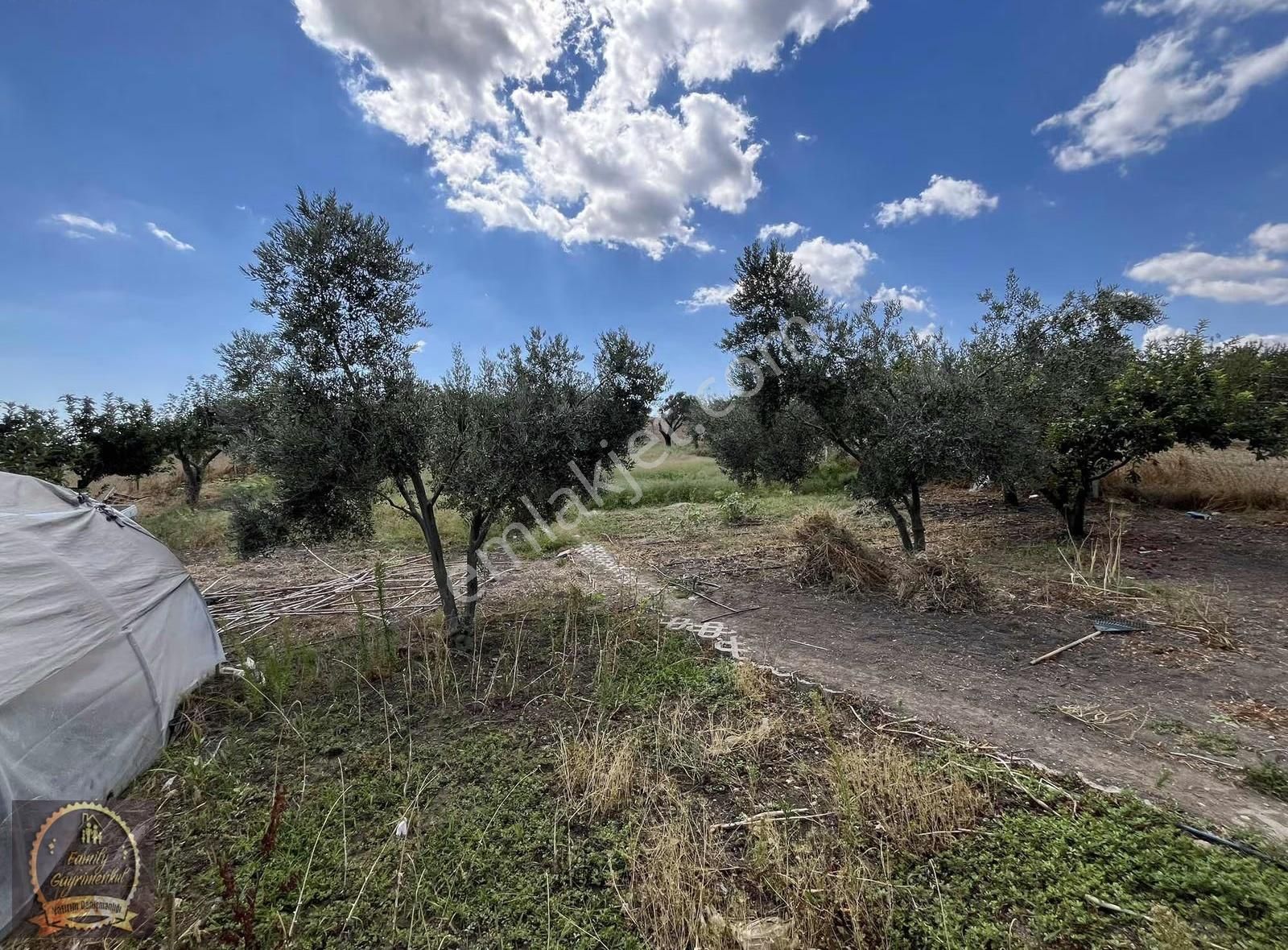 Silivri'de Doğanın Kalbinde Satılık Villa Geniş Bahçe Alanı !! - Görsel 8