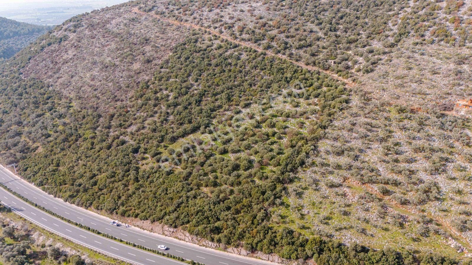 Milas Bodrum Ana Yola Cepheli Ticari Ve Konut İmarlı Arsa - Görsel 26