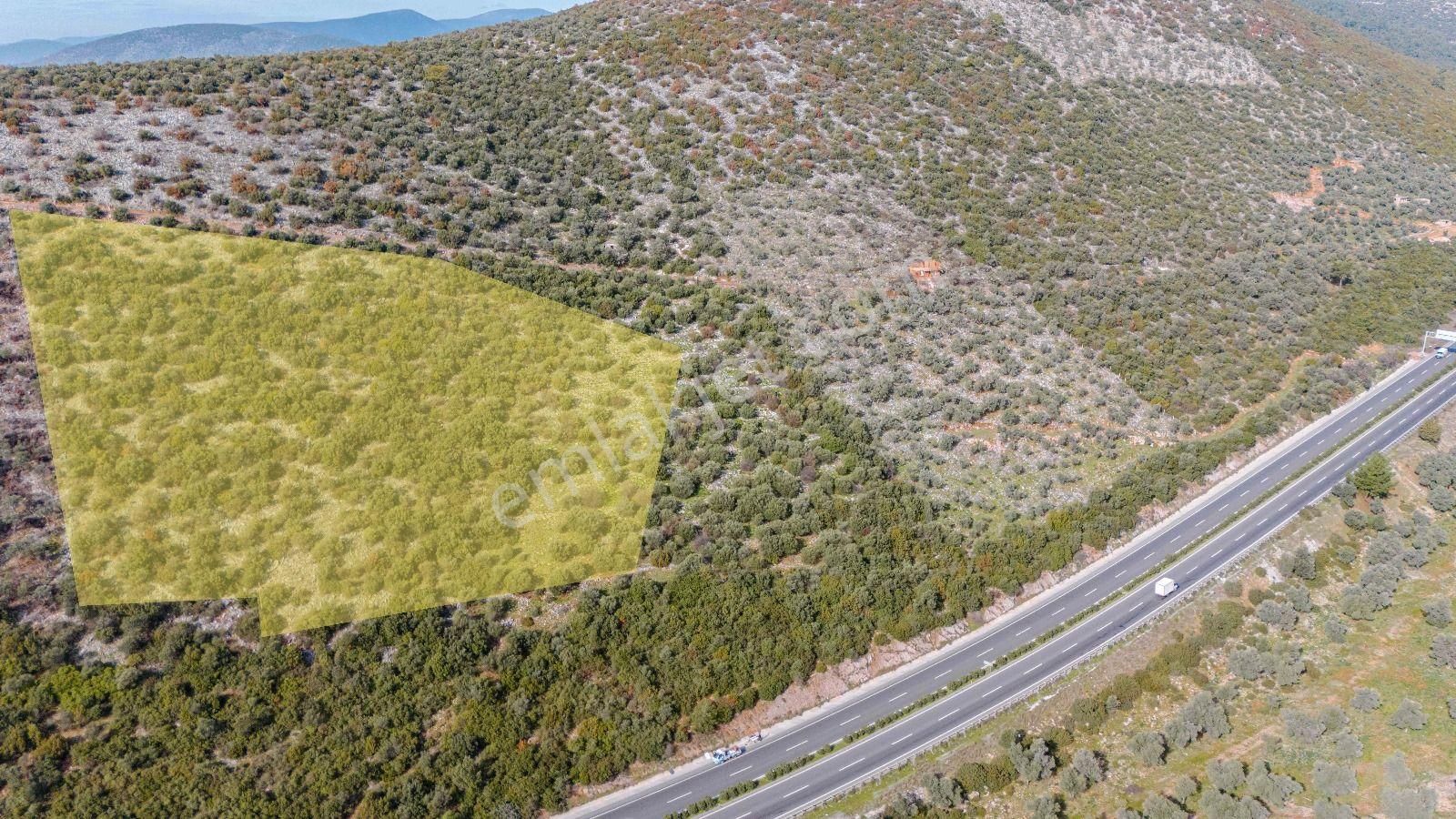 Milas Bodrum Ana Yola Cepheli Ticari Ve Konut İmarlı Arsa - Görsel 9