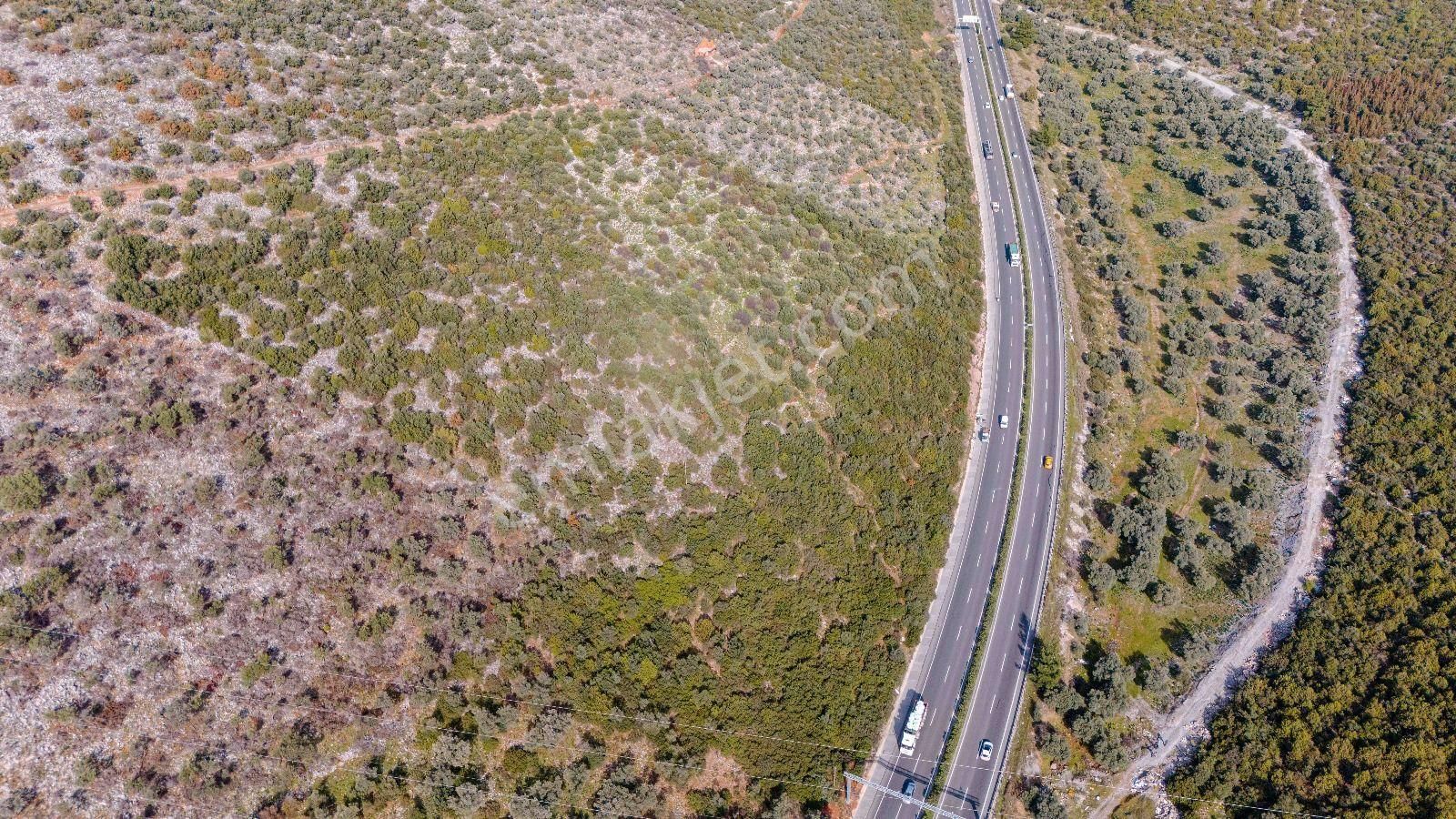 Milas Bodrum Ana Yola Cepheli Ticari Ve Konut İmarlı Arsa - Görsel 30