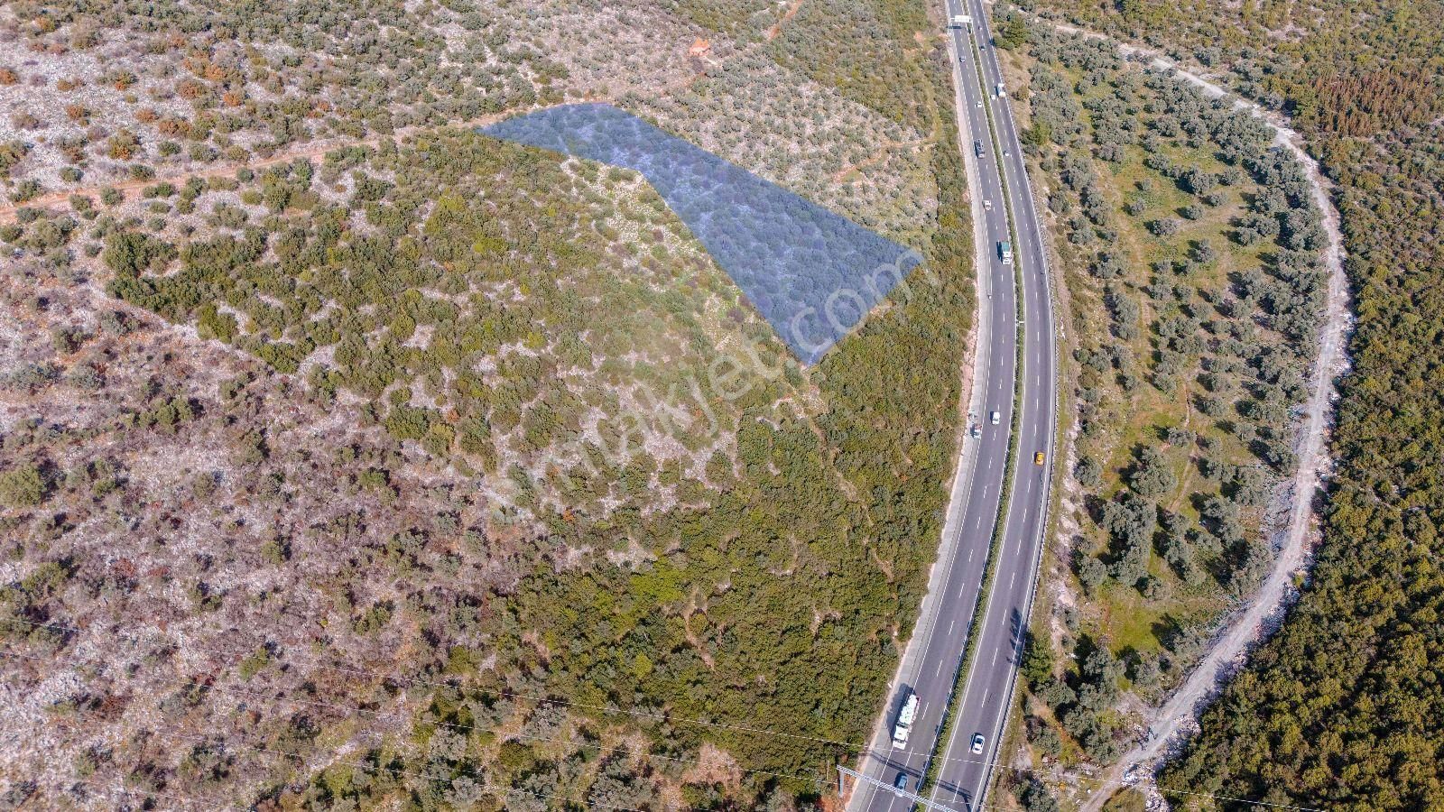 Milas Bodrum Ana Yola Cepheli Ticari Ve Konut İmarlı Arsa - Görsel 21