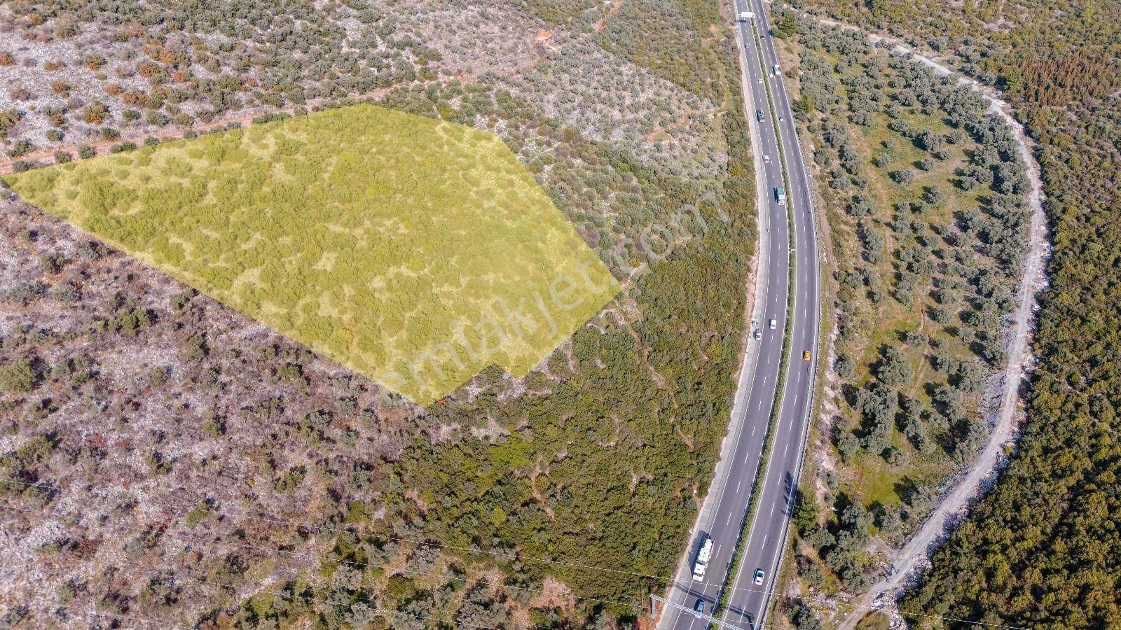 Milas Bodrum Ana Yola Cepheli Ticari Ve Konut İmarlı Arsa - Görsel 13