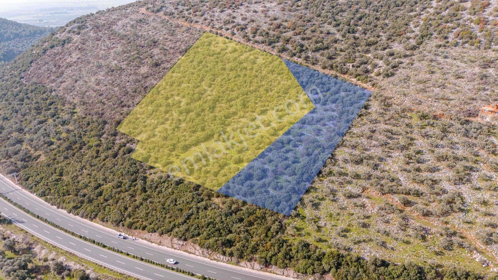 Milas Bodrum Ana Yola Cepheli Ticari Ve Konut İmarlı Arsa - Görsel 5