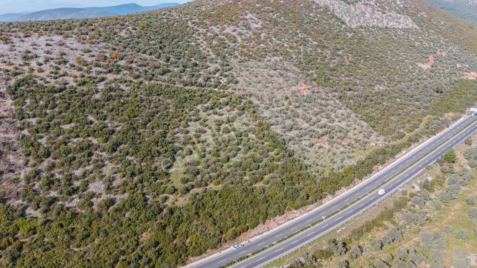 Milas Bodrum Ana Yola Cepheli Ticari Ve Konut İmarlı Arsa - Görsel 22
