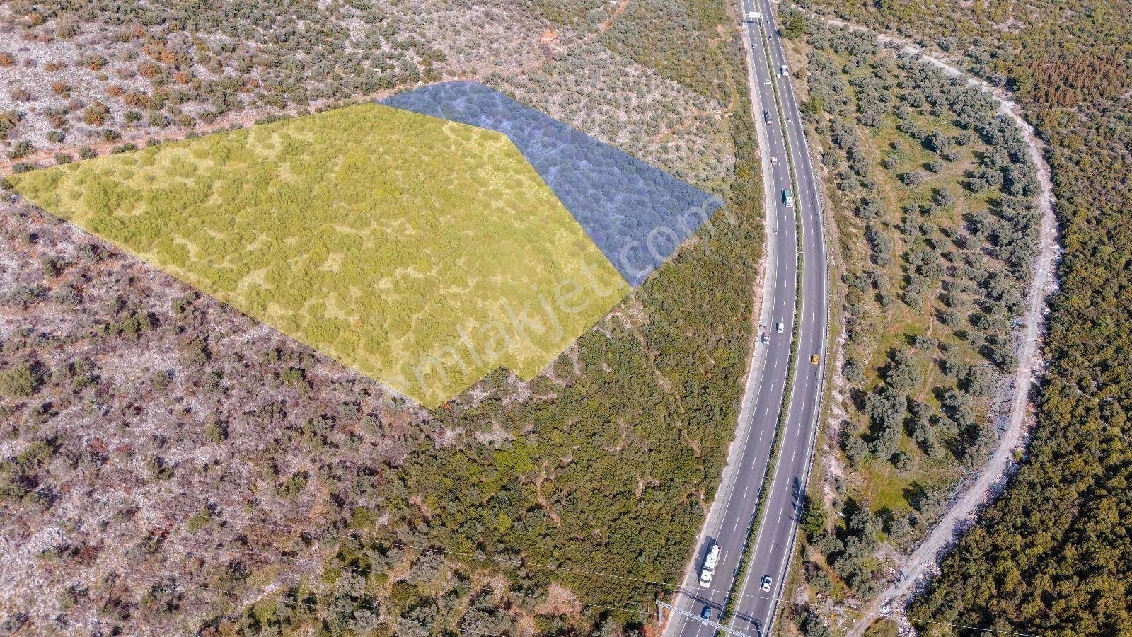 Milas Bodrum Ana Yola Cepheli Ticari Ve Konut İmarlı Arsa - Görsel 7
