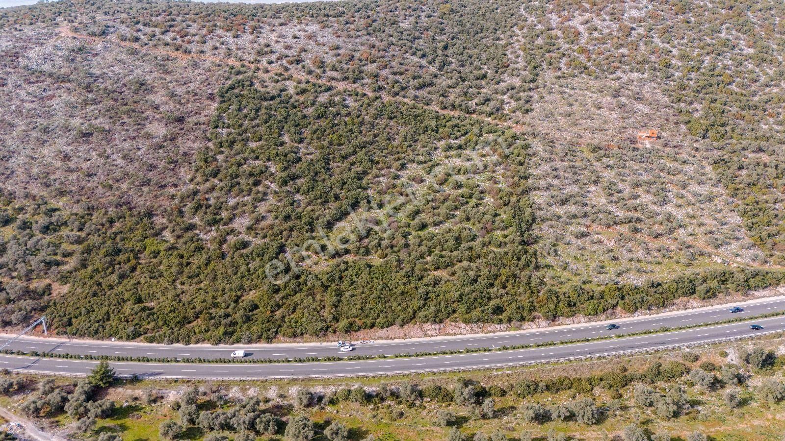 Milas Bodrum Ana Yola Cepheli Ticari Ve Konut İmarlı Arsa - Görsel 29