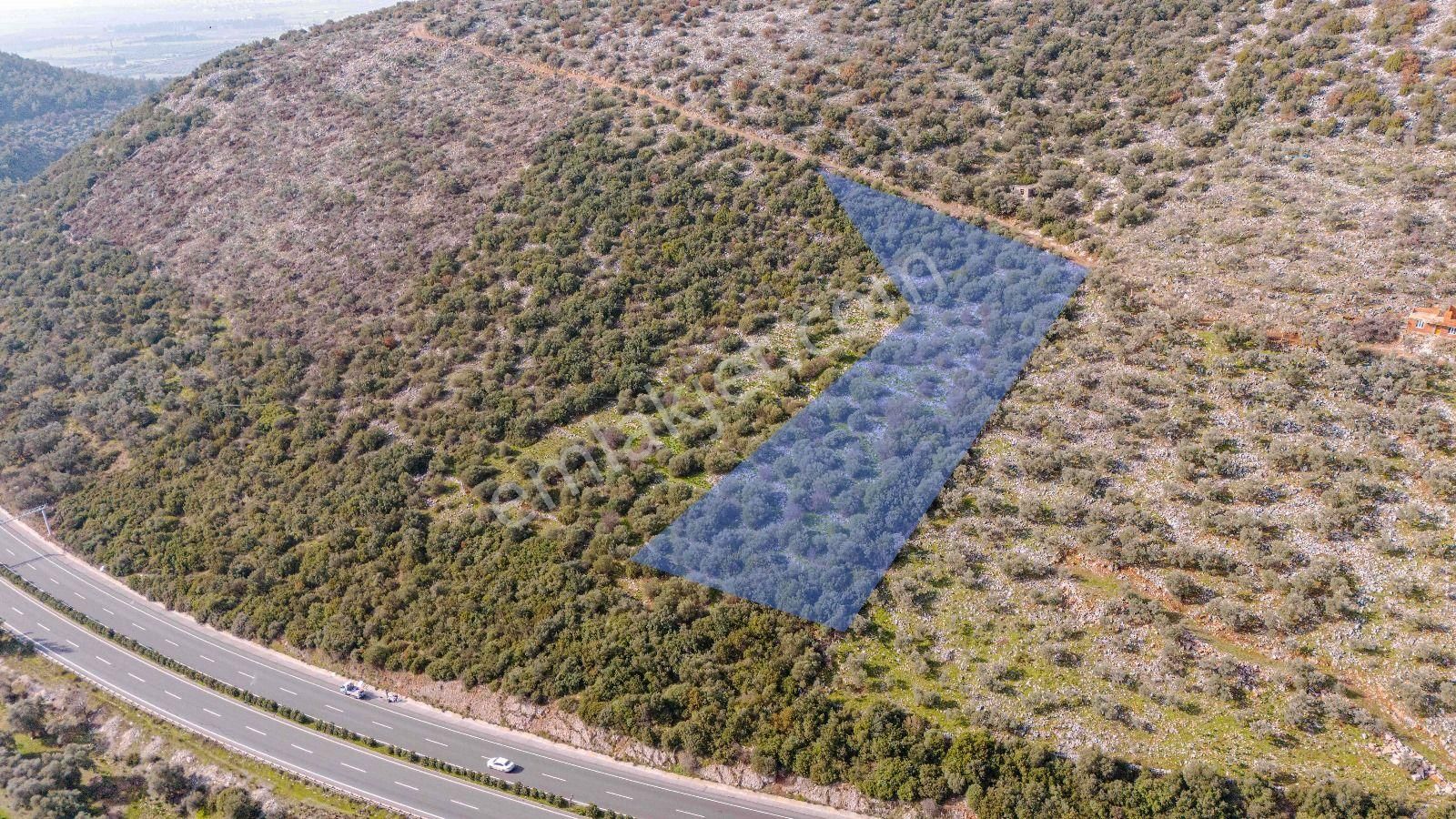 Milas Bodrum Ana Yola Cepheli Ticari Ve Konut İmarlı Arsa - Görsel 20