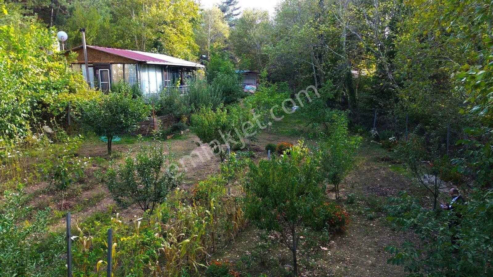 Bayındır Çınardibi'nde Bahçeli Ev Satılık - Görsel 6