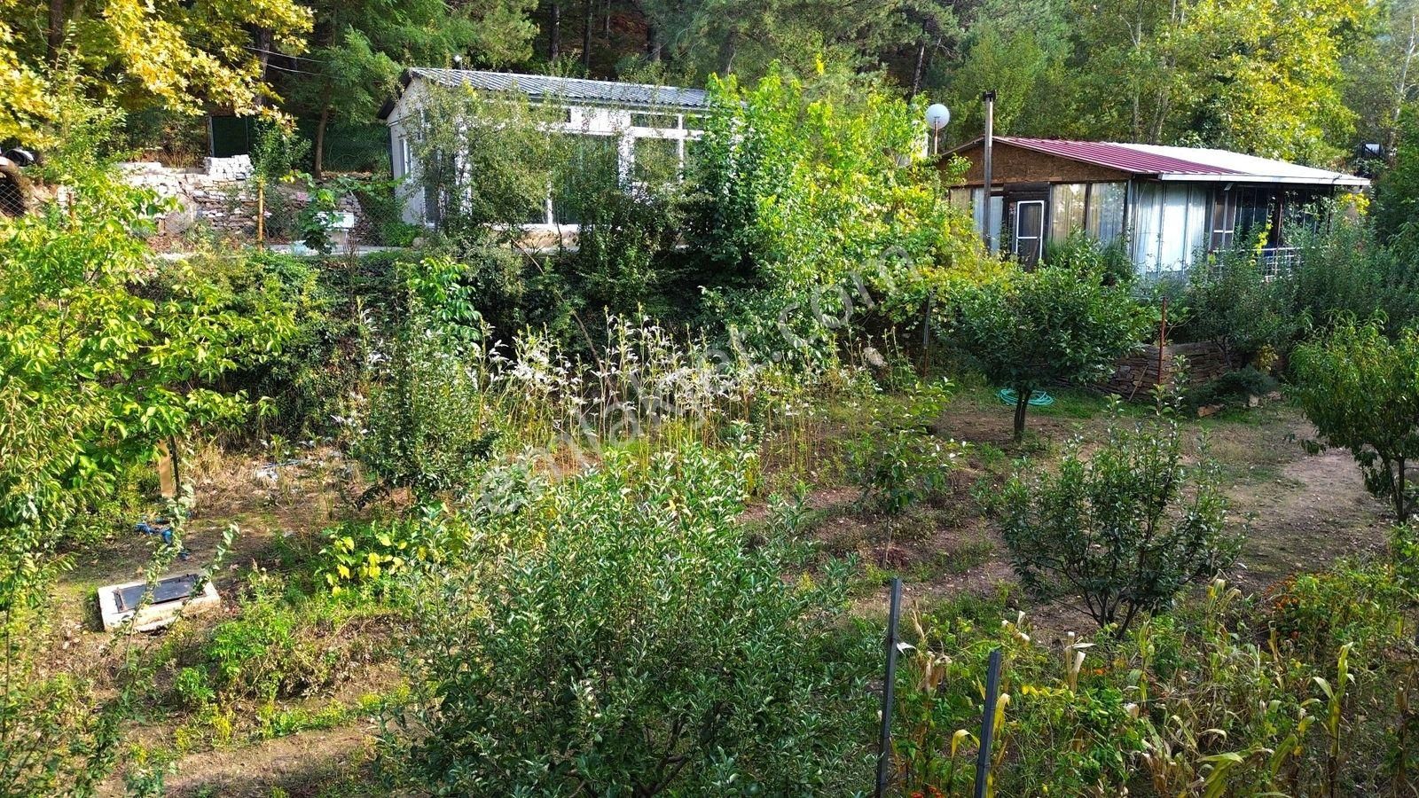 Bayındır Çınardibi'nde Bahçeli Ev Satılık - Görsel 12