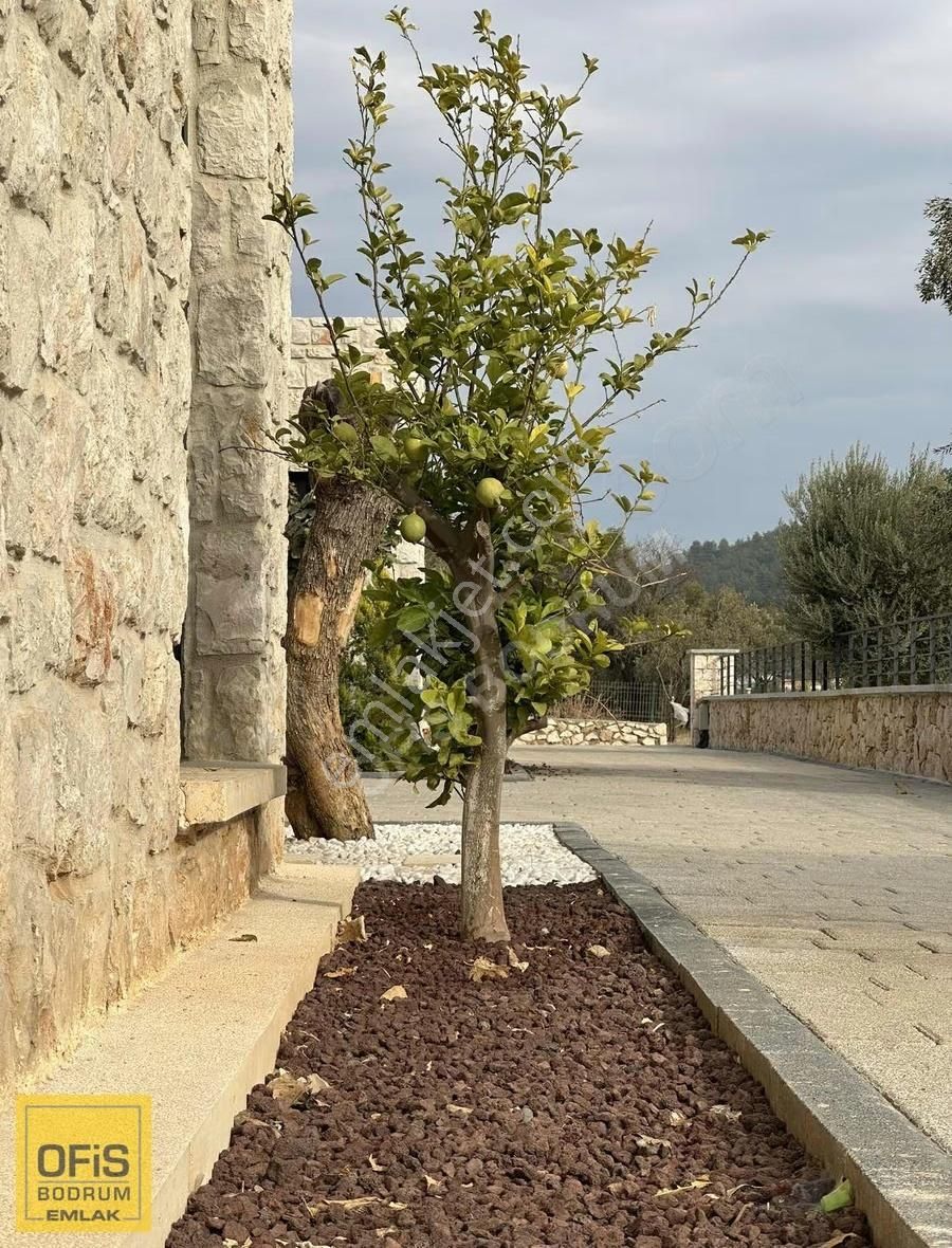 Ofis Bodrum | Bodrum Yalıçiftlik'te Müstakil 3+1 Flat Villa - Görsel 3