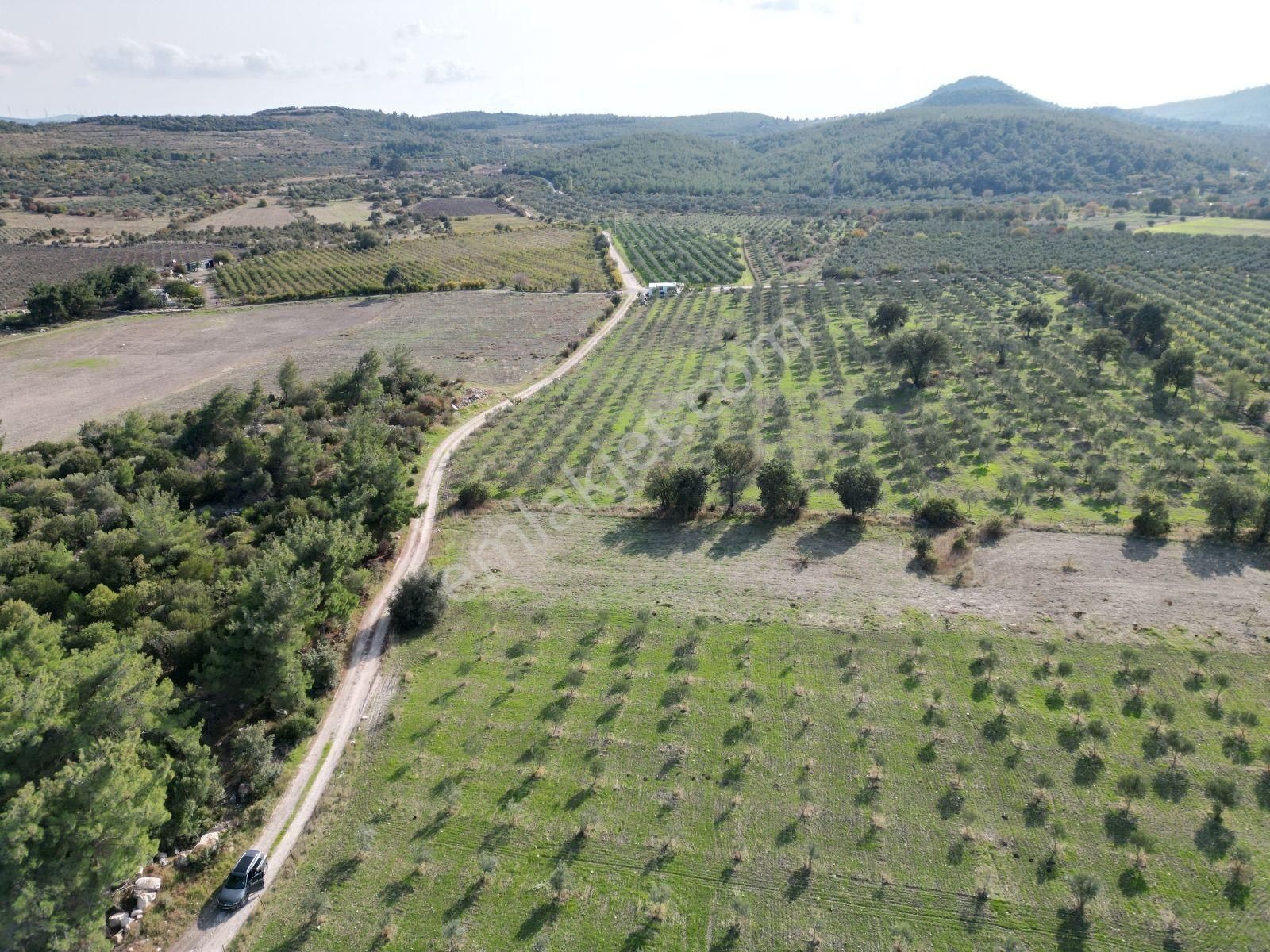 Menemen Türkellide 1500m2 Satılık Tarla - Görsel 9