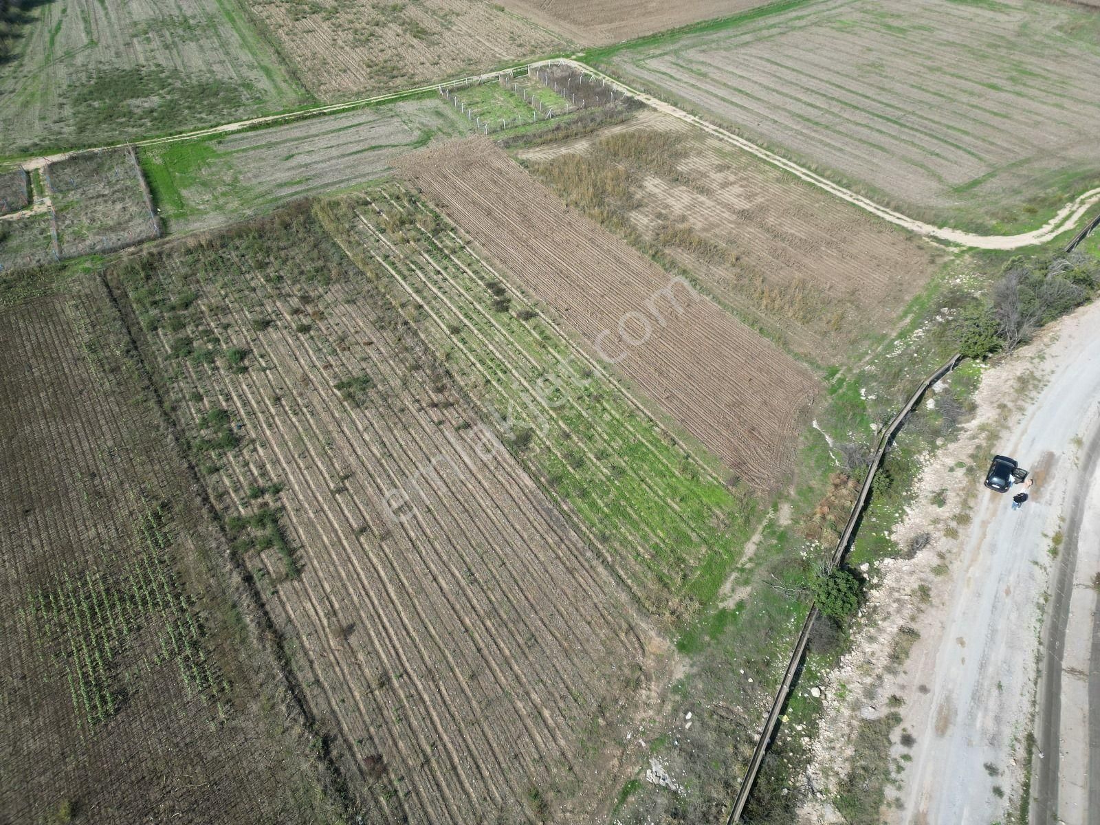 Menemen Türkellide 1500m2 Satılık Tarla - Görsel 14