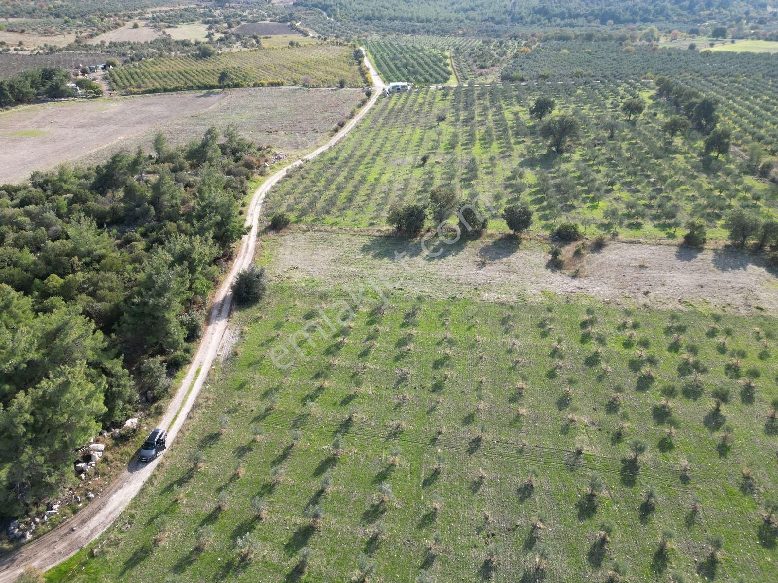 Menemen Türkellide 1500m2 Satılık Tarla - Görsel 13