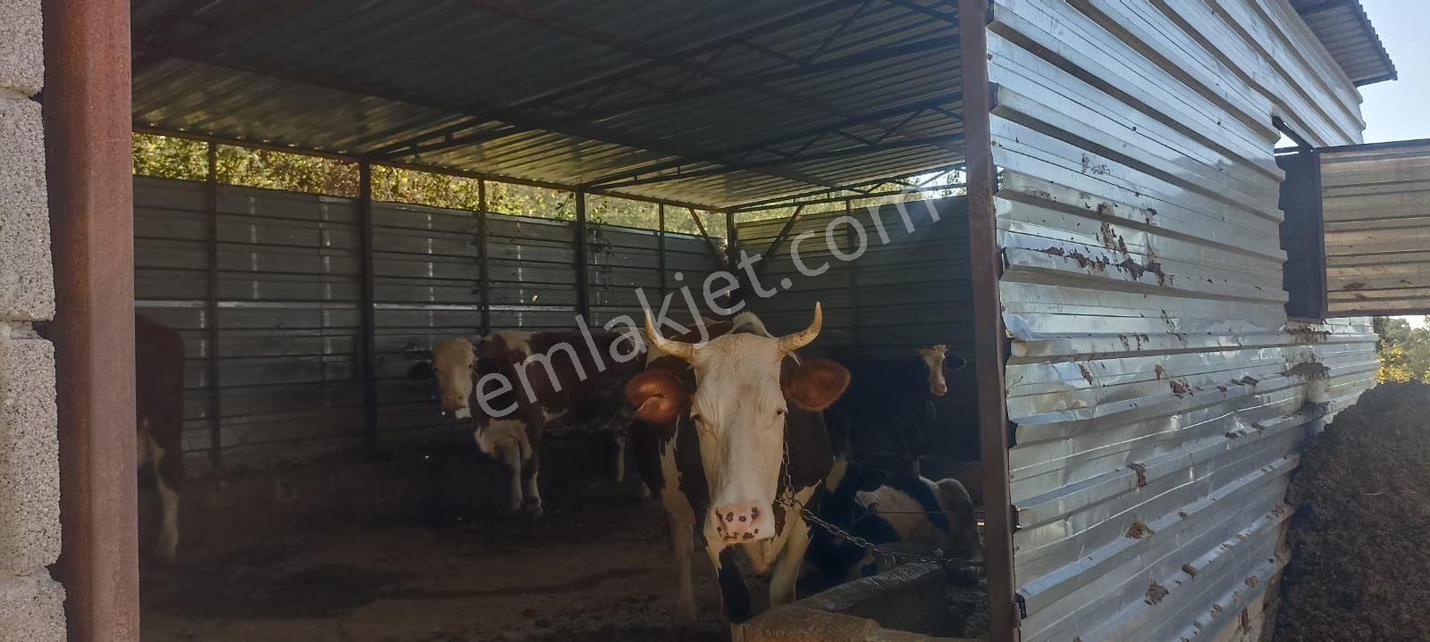 Metin Gayrimenkul Den Mersin Yenişehir Emirler Satılık Bahçe - Görsel 2