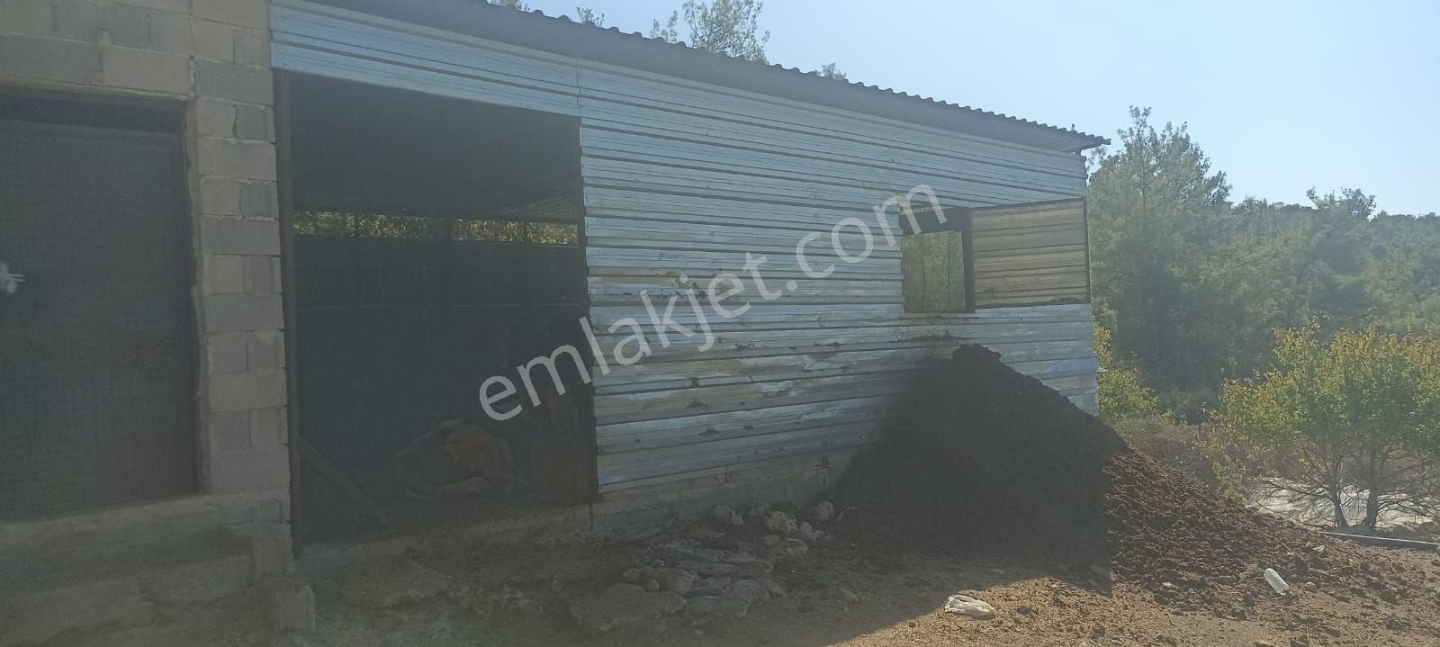 Metin Gayrimenkul Den Mersin Yenişehir Emirler Satılık Bahçe - Görsel 5