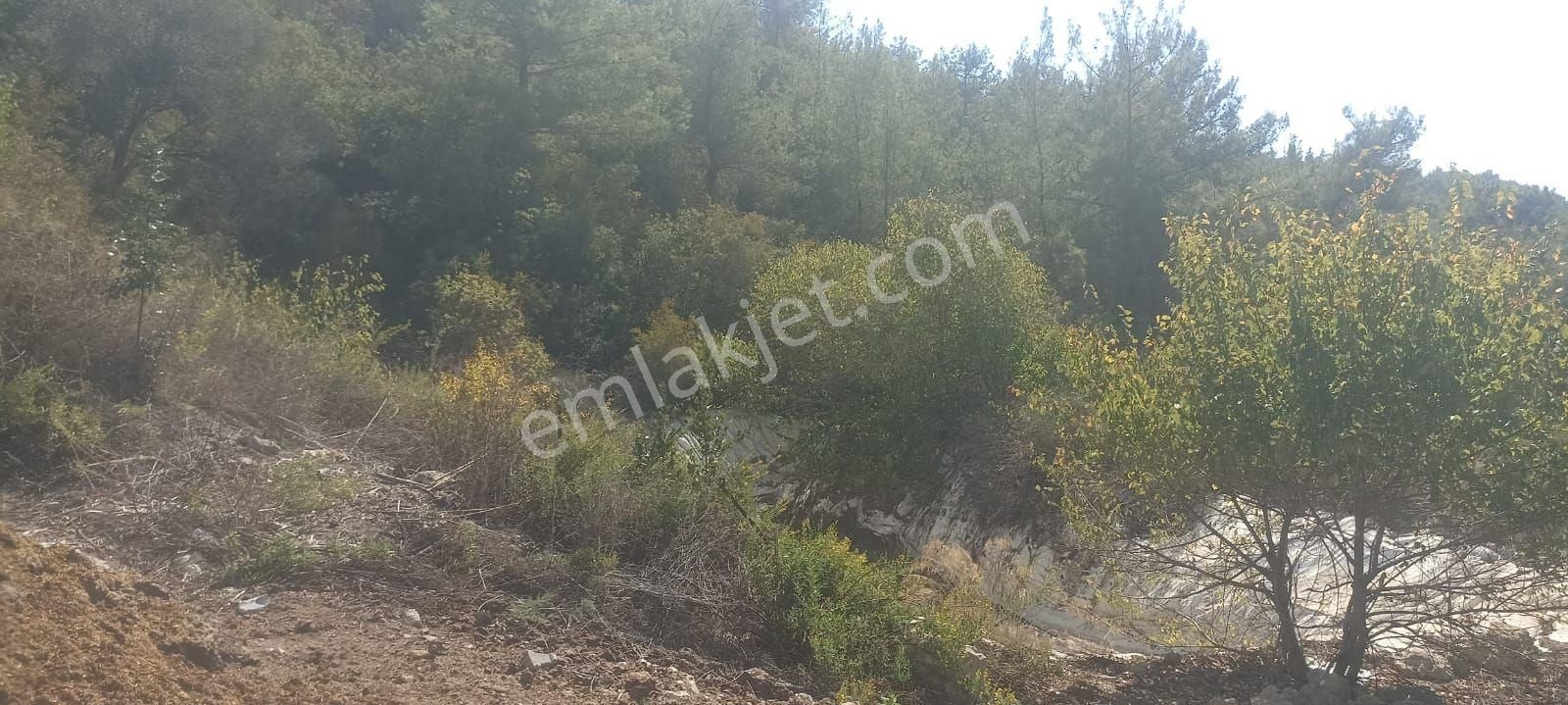 Metin Gayrimenkul Den Mersin Yenişehir Emirler Satılık Bahçe - Görsel 9