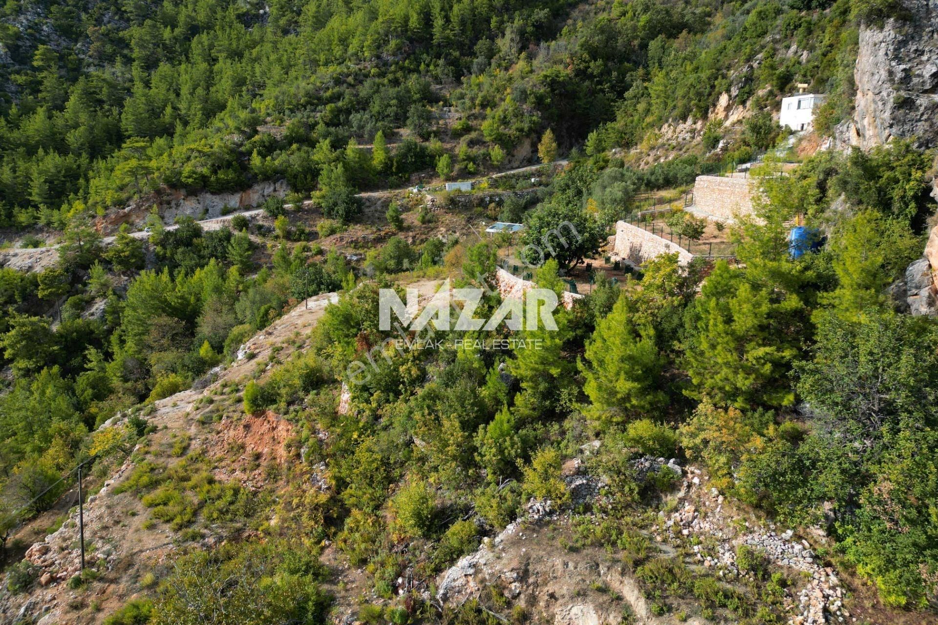 Alanya Bademağacı'nda 1.614 M² Satılık Deniz Manzaralı Tarla - Görsel 6