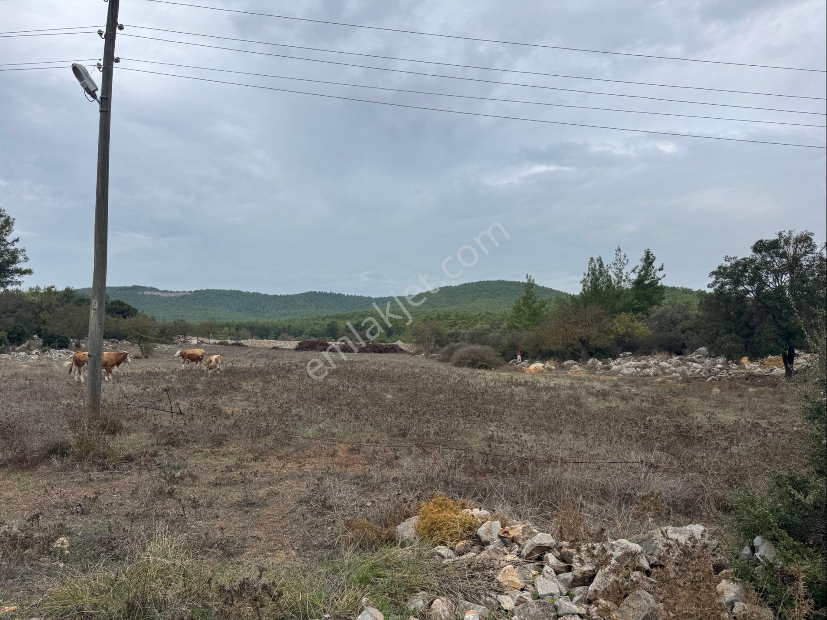 Bodrum Kumköy’de Satılık İmarlı Arsa - Görsel 10