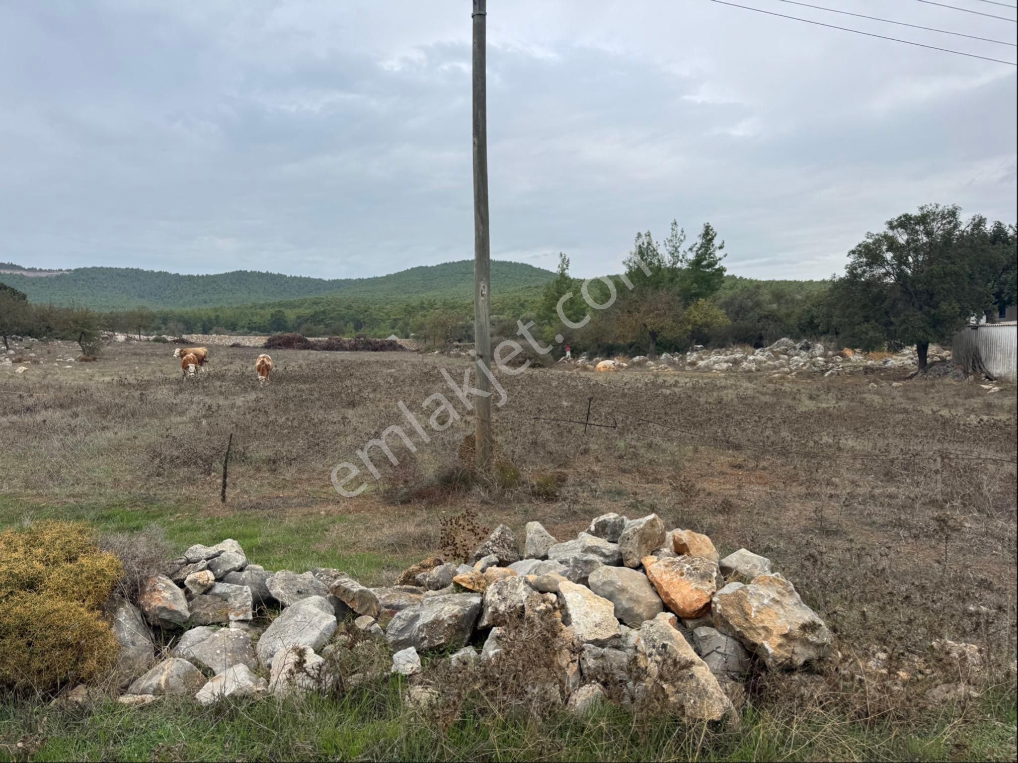 Bodrum Kumköy’de Satılık İmarlı Arsa - Görsel 3