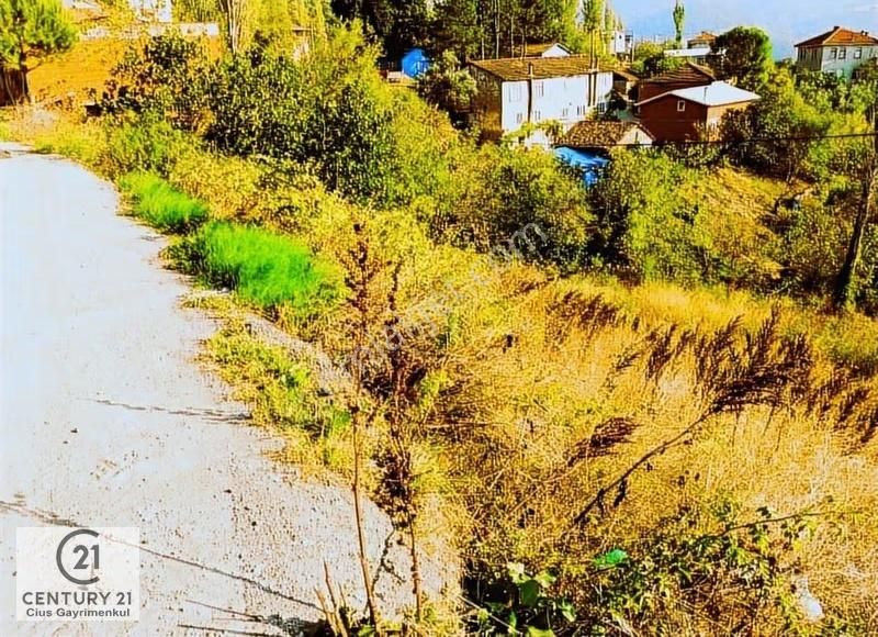 C21 Cius; Katırlı Köy İçi İmarlı Arsa 29 Mt Ana Yola Cephe - Görsel 5