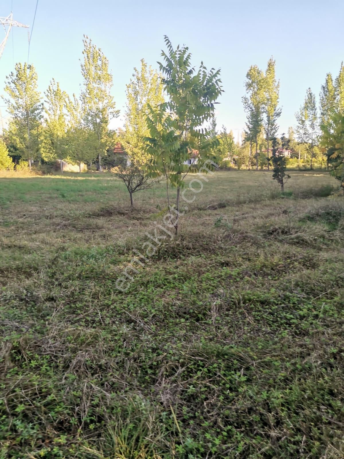 Stop’tan *köyceğiz Yangı *3250 M2 Satılıktarla - Görsel 2