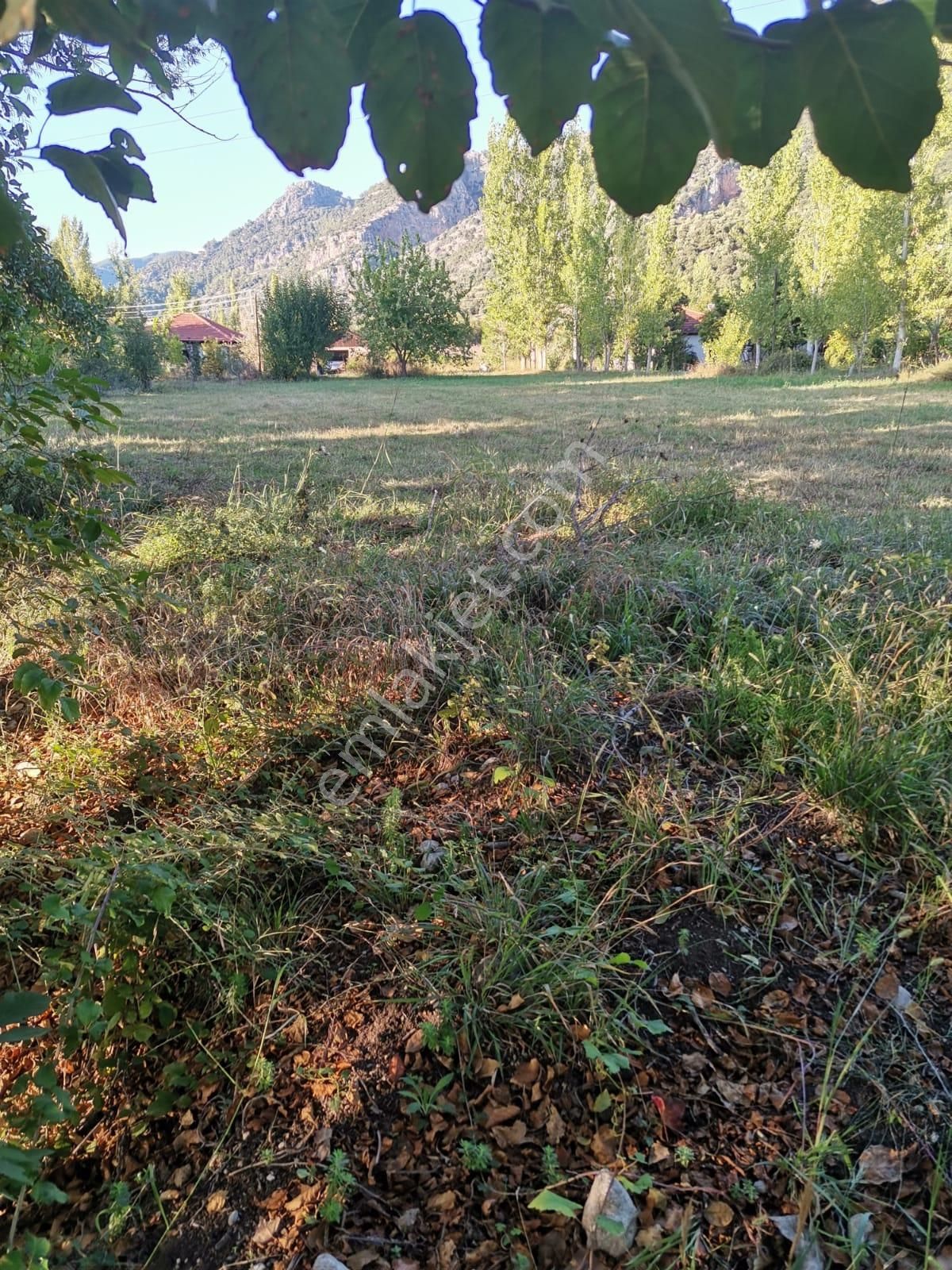 Stop’tan *köyceğiz Yangı *3250 M2 Satılıktarla - Görsel 7