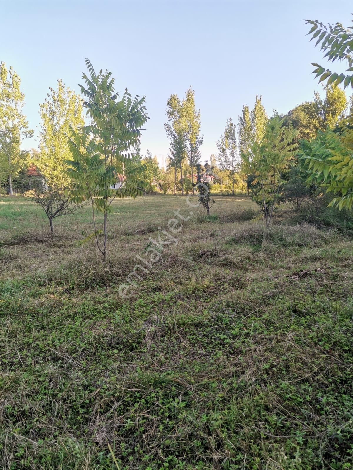 Stop’tan *köyceğiz Yangı *3250 M2 Satılıktarla - Görsel 5