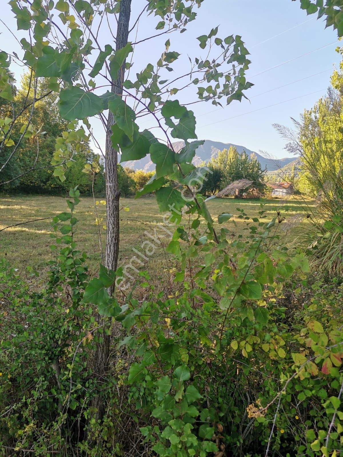 Stop’tan *köyceğiz Yangı *3250 M2 Satılıktarla - Görsel 8