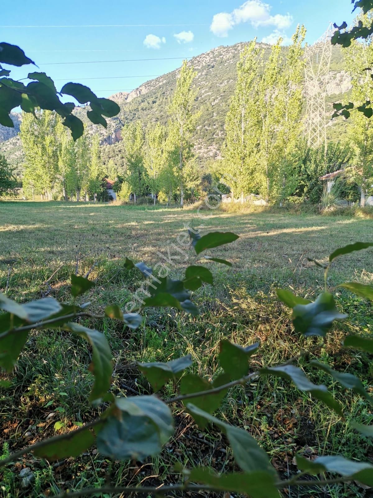 Stop’tan *köyceğiz Yangı *3250 M2 Satılıktarla - Görsel 12