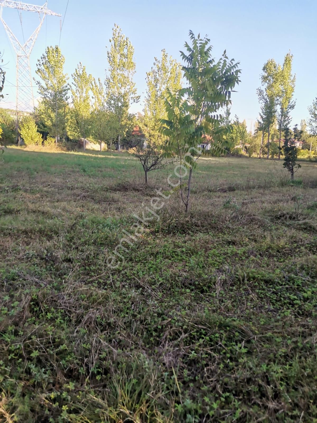 Stop’tan *köyceğiz Yangı *3250 M2 Satılıktarla - Görsel 3