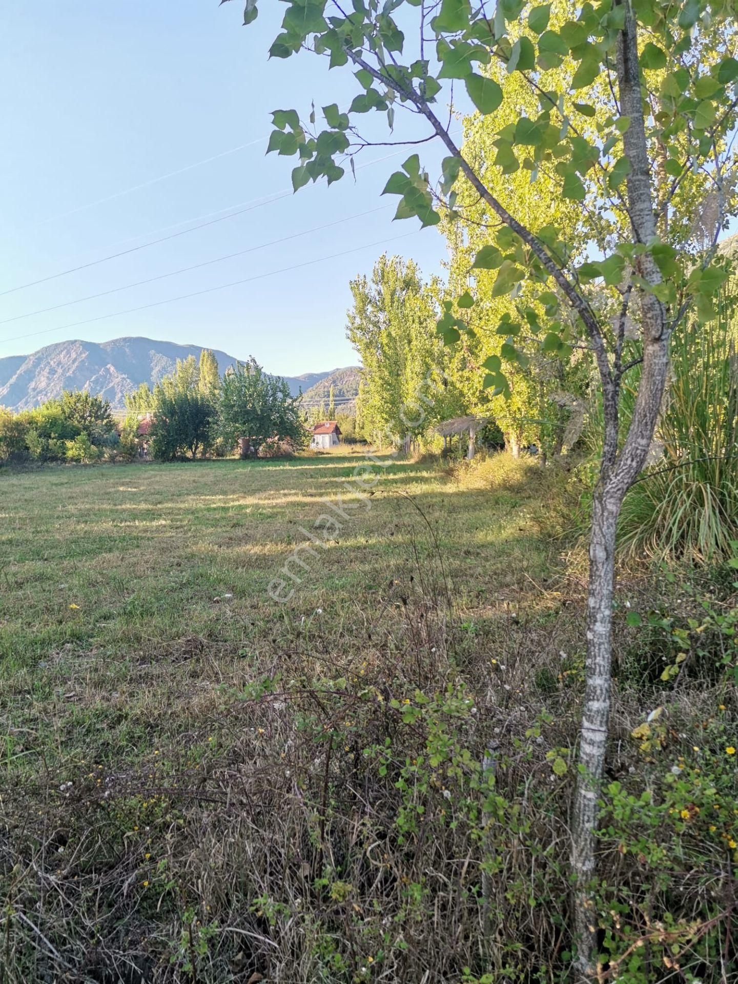 Stop’tan *köyceğiz Yangı *3250 M2 Satılıktarla - Görsel 9