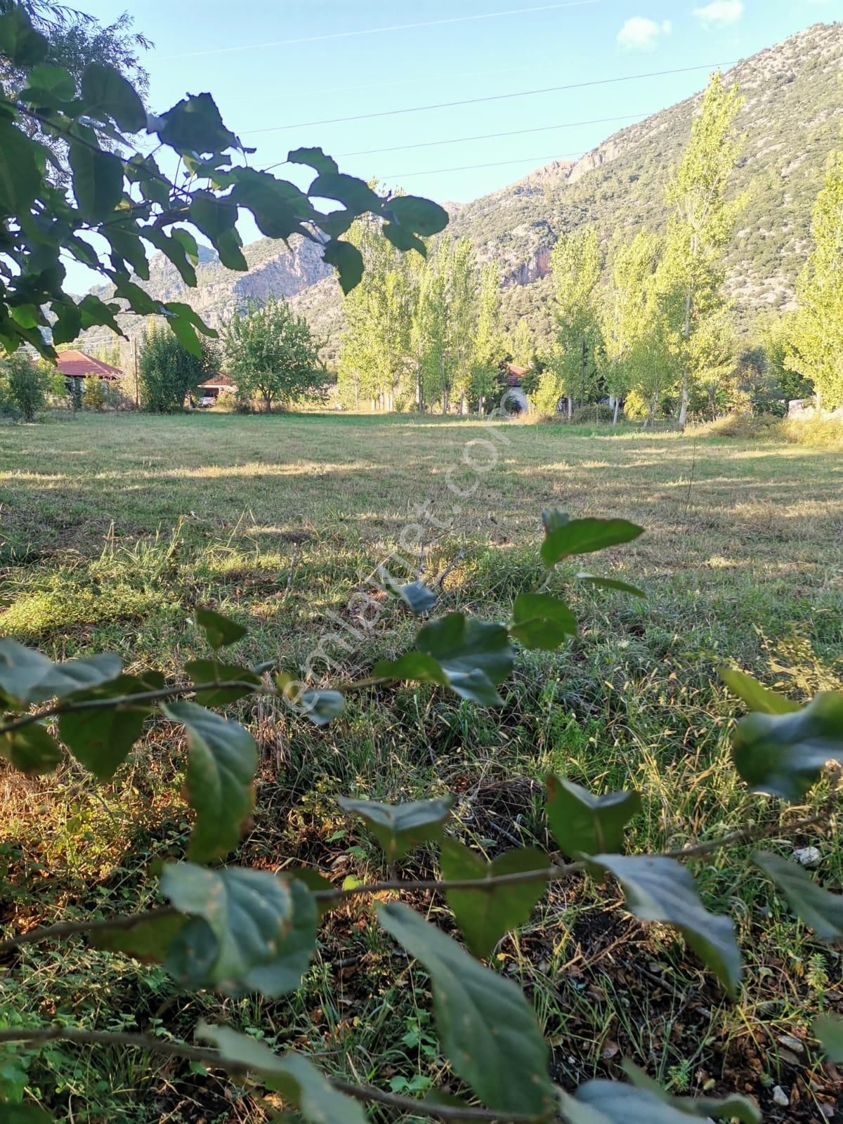 Stop’tan *köyceğiz Yangı *3250 M2 Satılıktarla - Görsel 11