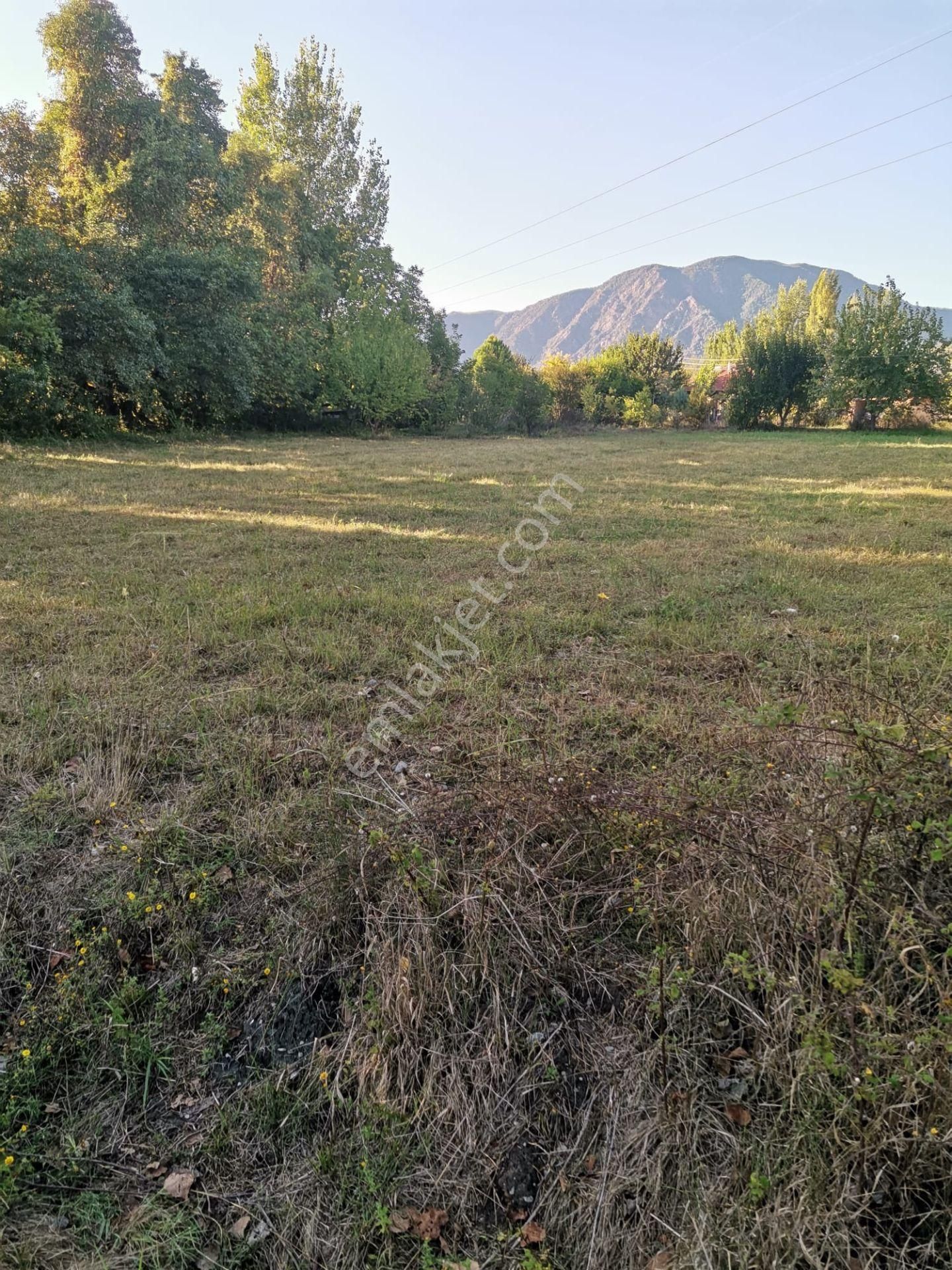 Stop’tan *köyceğiz Yangı *3250 M2 Satılıktarla - Görsel 6