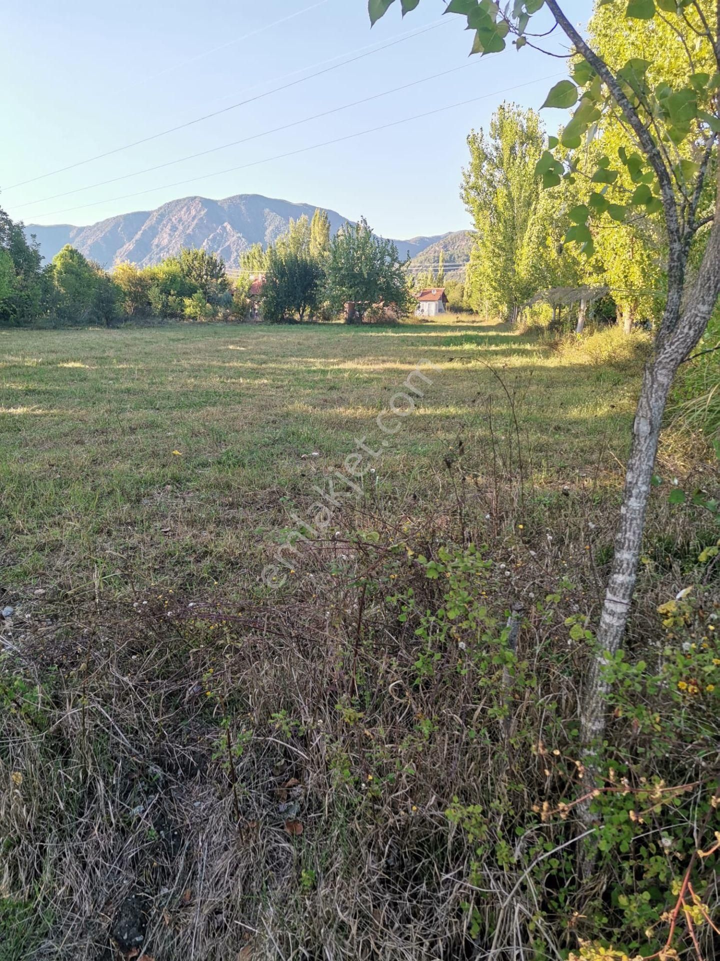 Stop’tan *köyceğiz Yangı *3250 M2 Satılıktarla - Görsel 10
