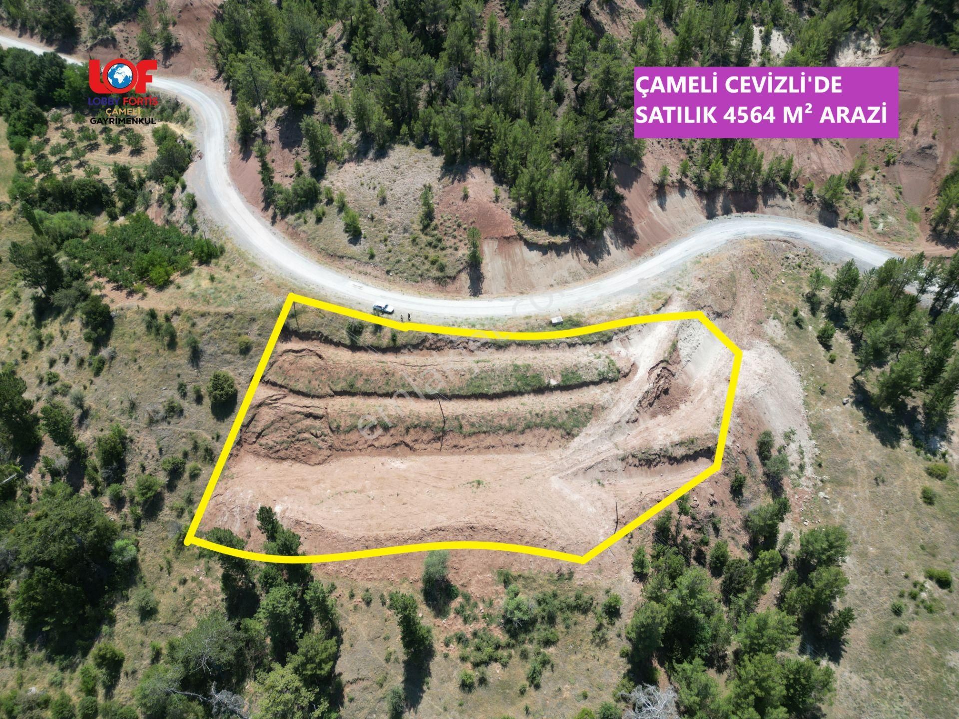🦋lobby Fortis'ten Satılık Çameli Cevizli'de Yerleşim Sınırında 4564 M² Arazi🦋