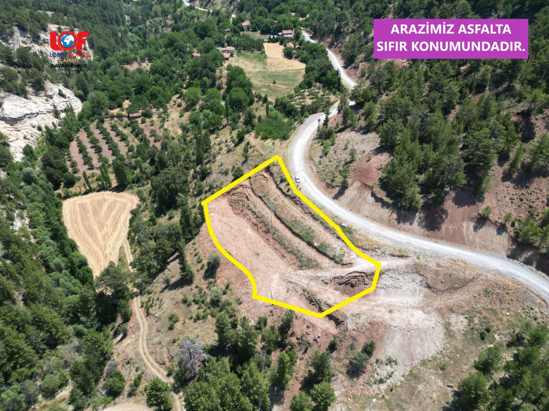 🦋lobby Fortis'ten Satılık Çameli Cevizli'de Yerleşim Sınırında 4564 M² Arazi🦋 - Görsel 2