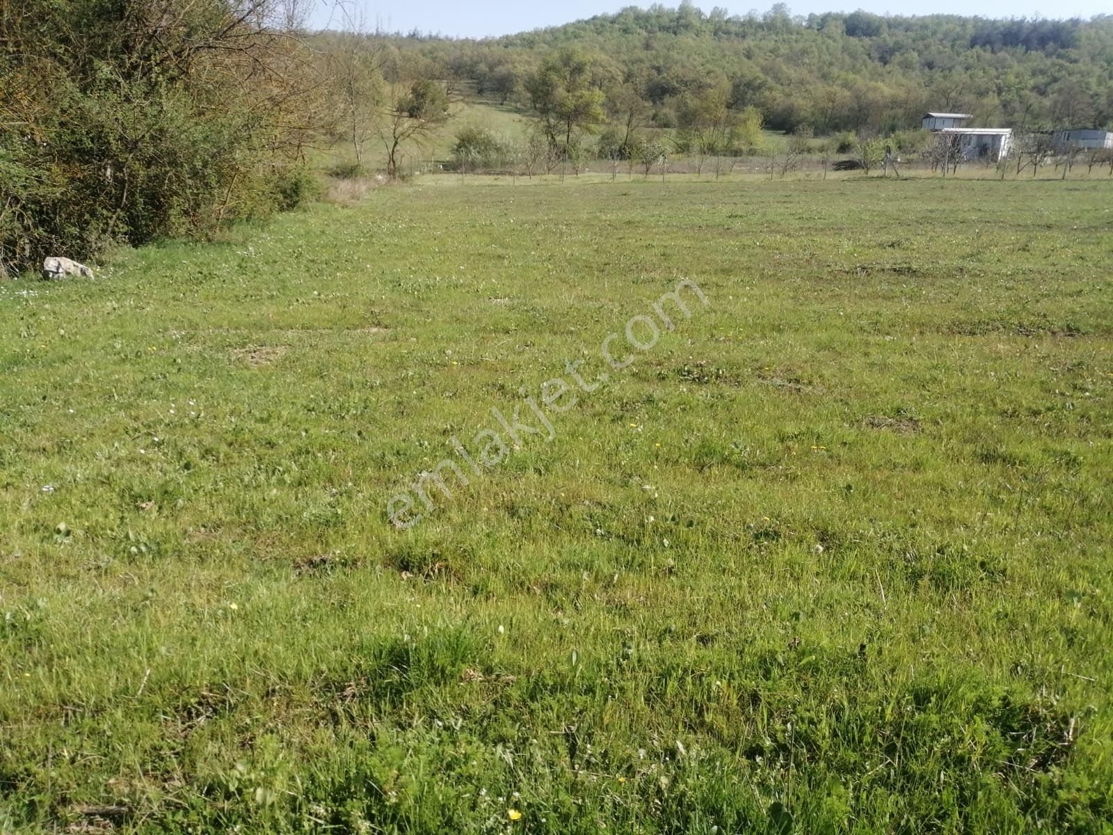 Kestel Gölcük Köyü Acil Satılık Arsa - Görsel 3
