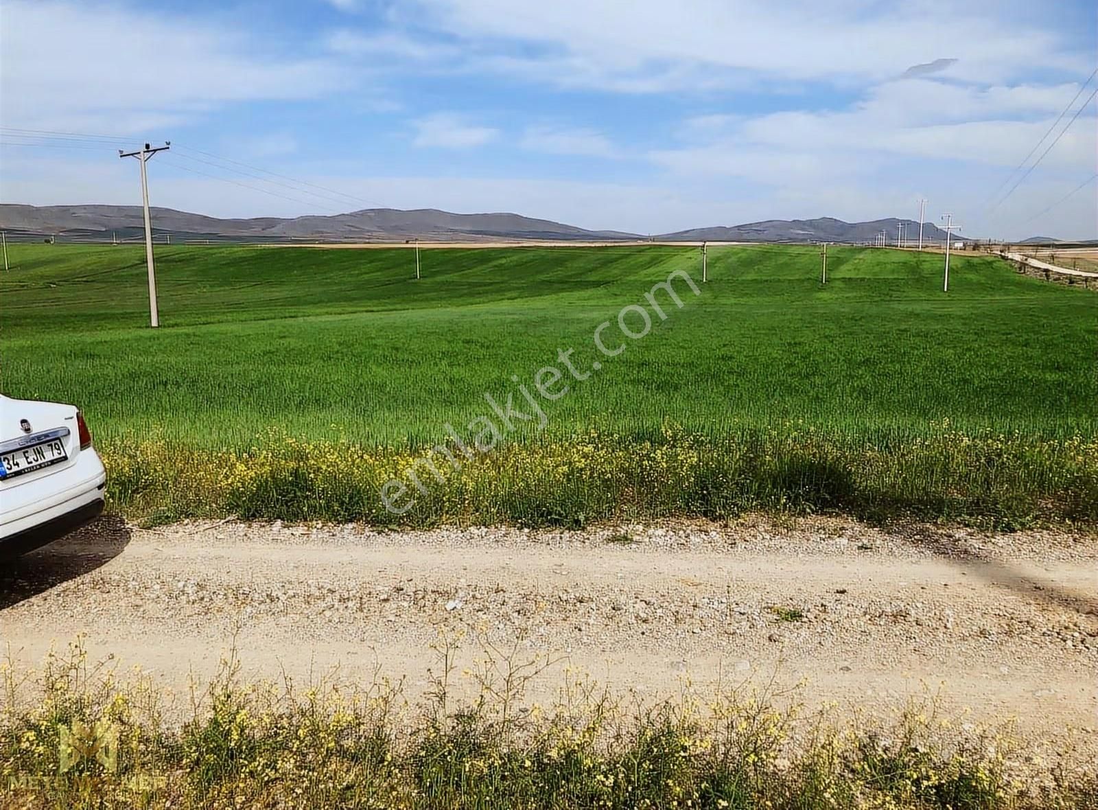 Hatunsaray Da Asvalt Yola Cepeli Halı Gibi Arazi - Görsel 5