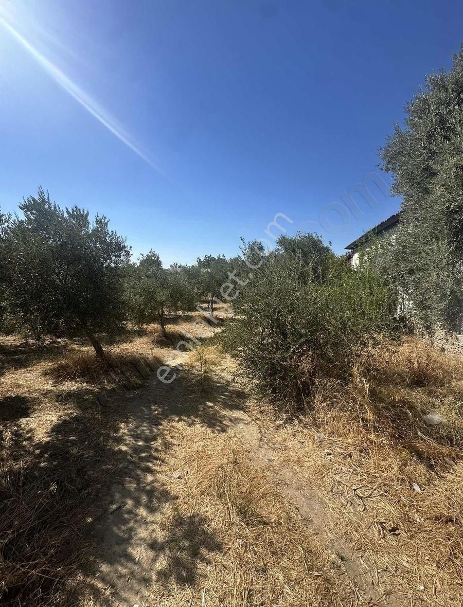 Capital Emlaktan Dirmil Mahallesinde 2 Kat İmarlı Arsa - Görsel 2