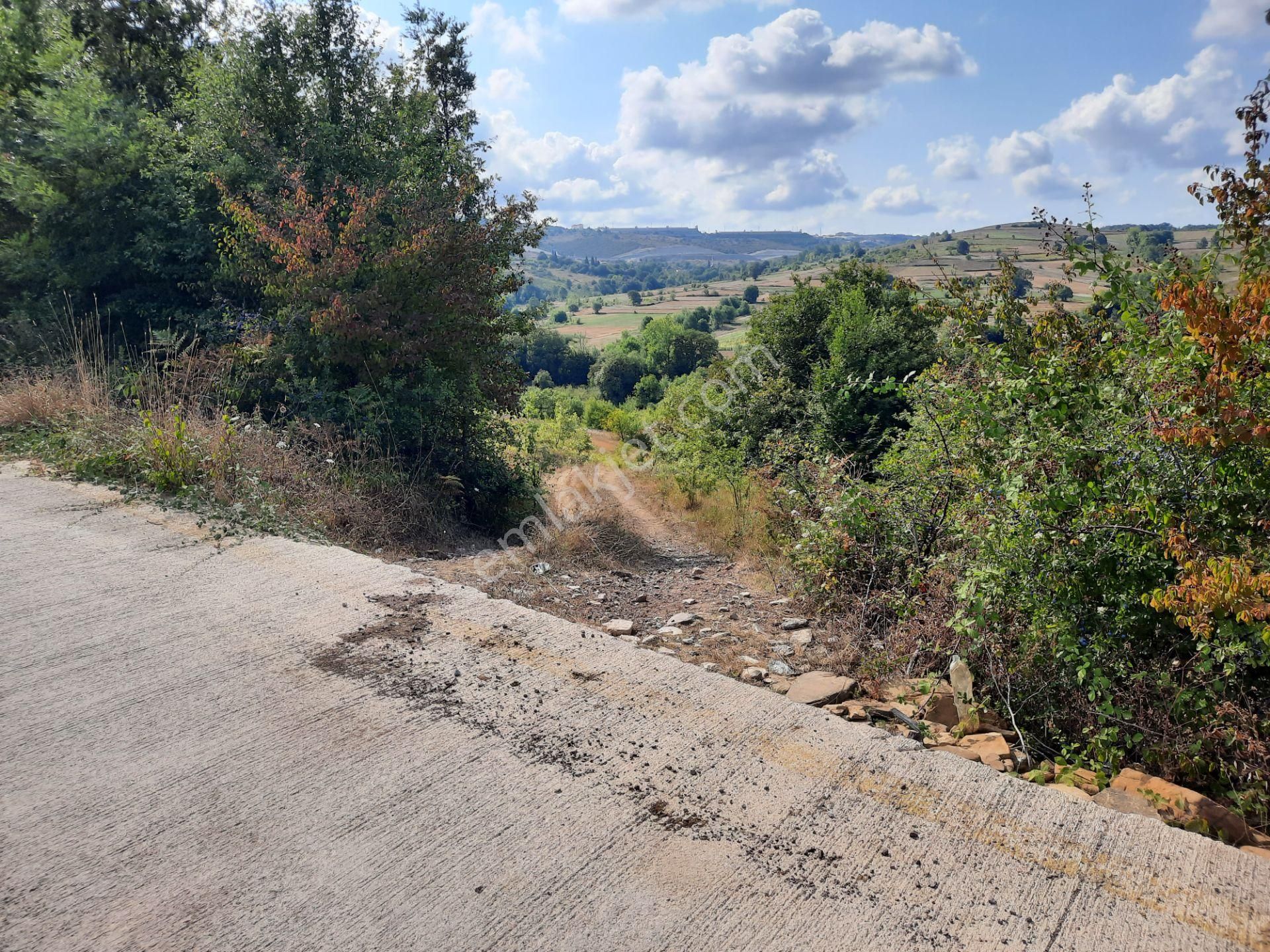 Terzilerde Caddeye Yakın 272m2 Satılık Tarla - Görsel 3