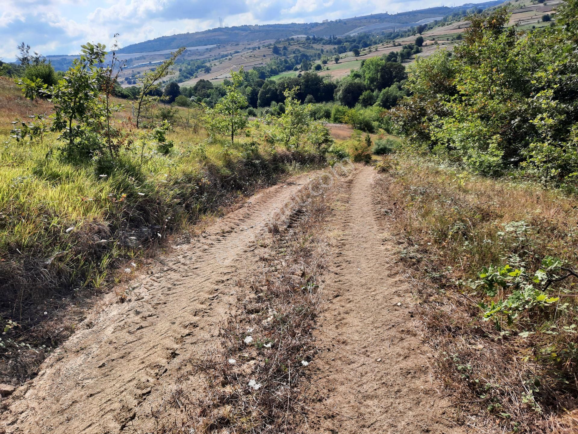 Terzilerde Caddeye Yakın 272m2 Satılık Tarla - Görsel 5