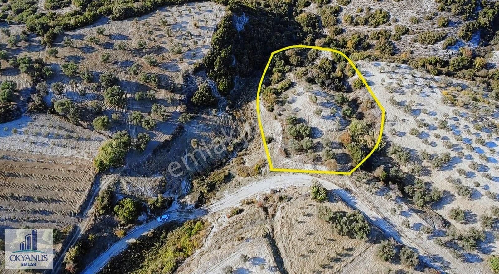 Hacımusa Da 3.900 M2 Zeytinlik, Köye Arsalara 70 Mt Uzak - Görsel 20
