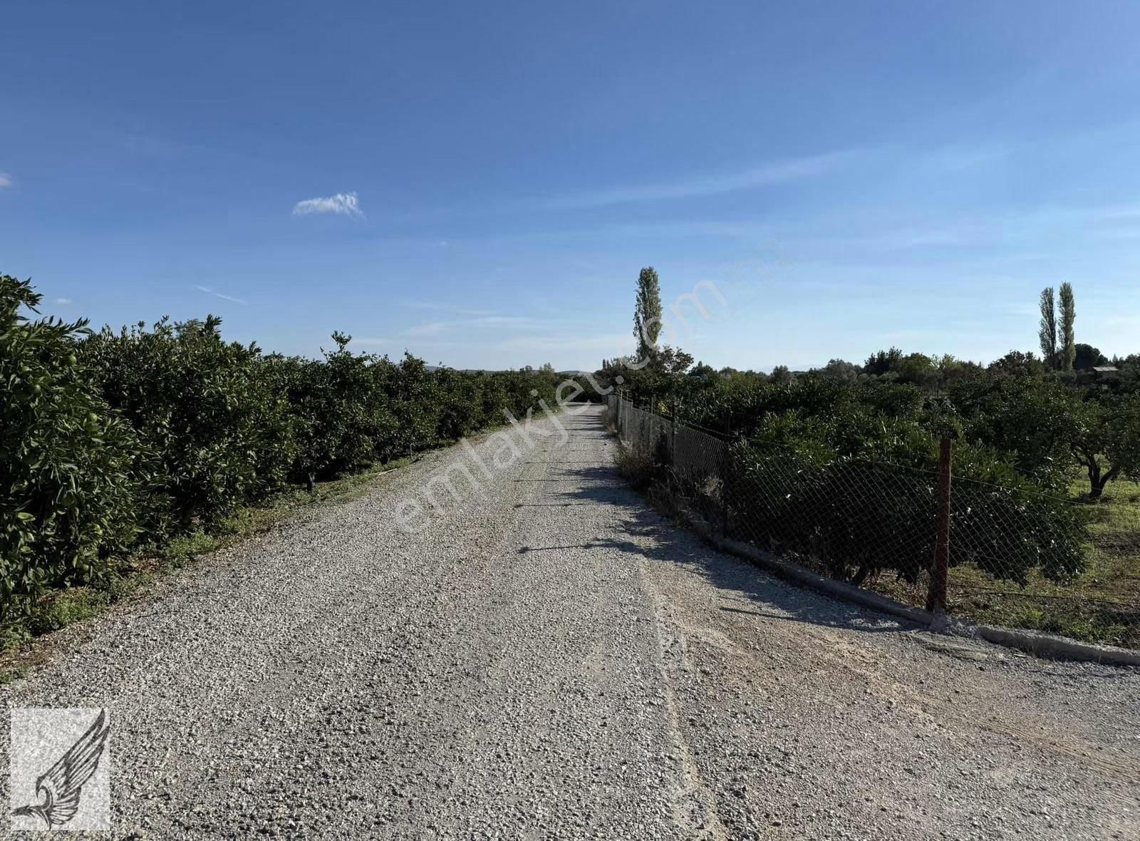 Seferihisar Camikebir Mah. İmara Yakın 4.850m² Satılık Tarla - Görsel 4