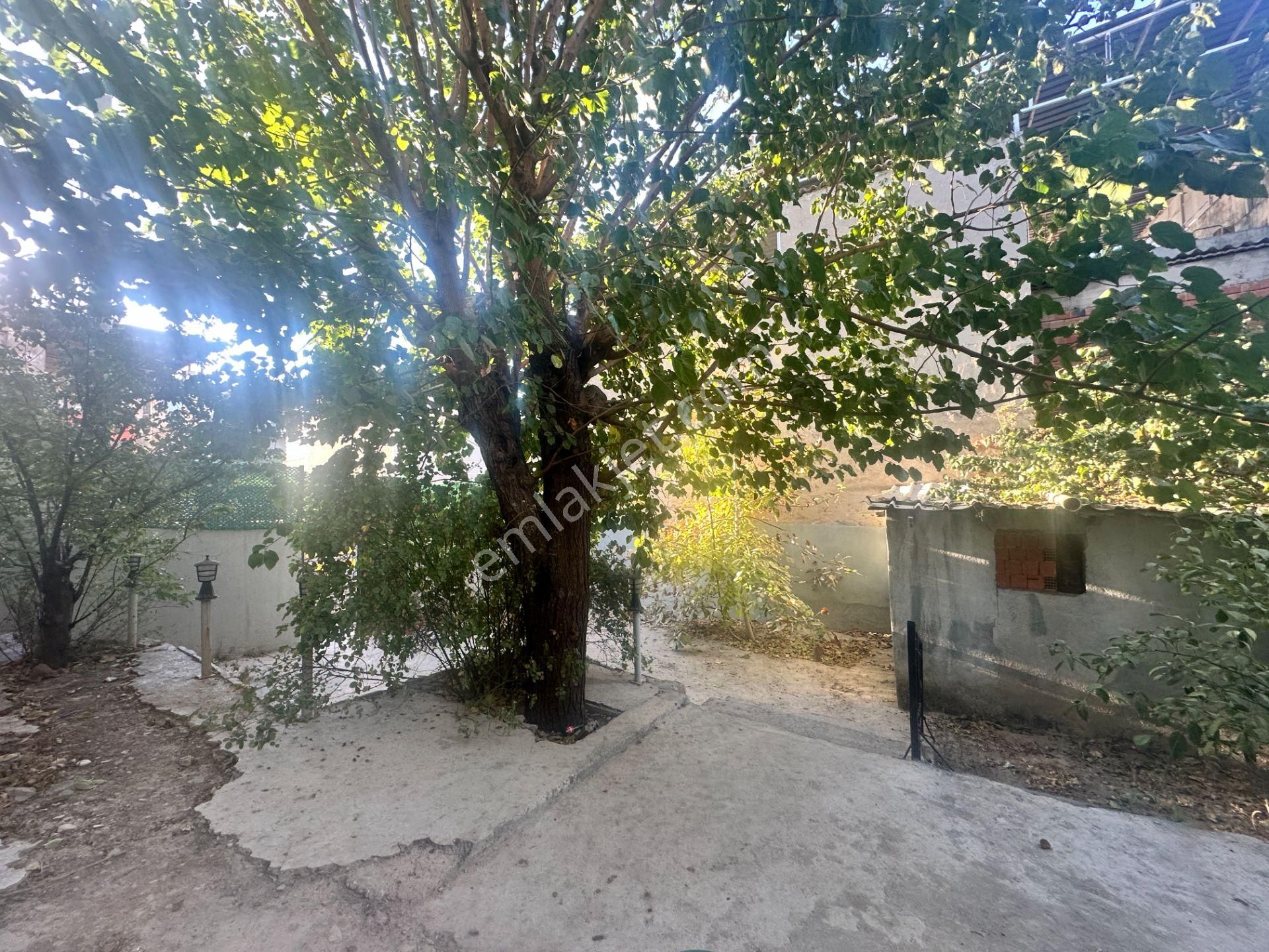 Çalışkan__dan Eski Çamlıkta Eşyalı & 2+1 Kiralık Daire. - Görsel 9