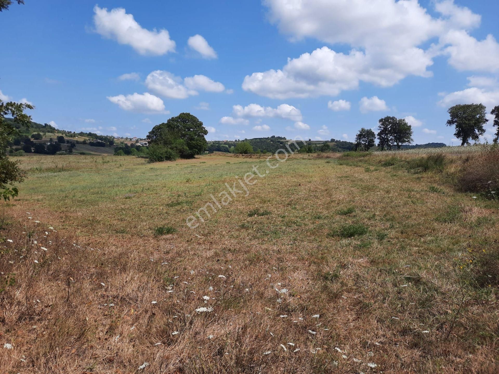 Satılık 629m2 Köy İçi Tarla Yola Yakın - Görsel 7