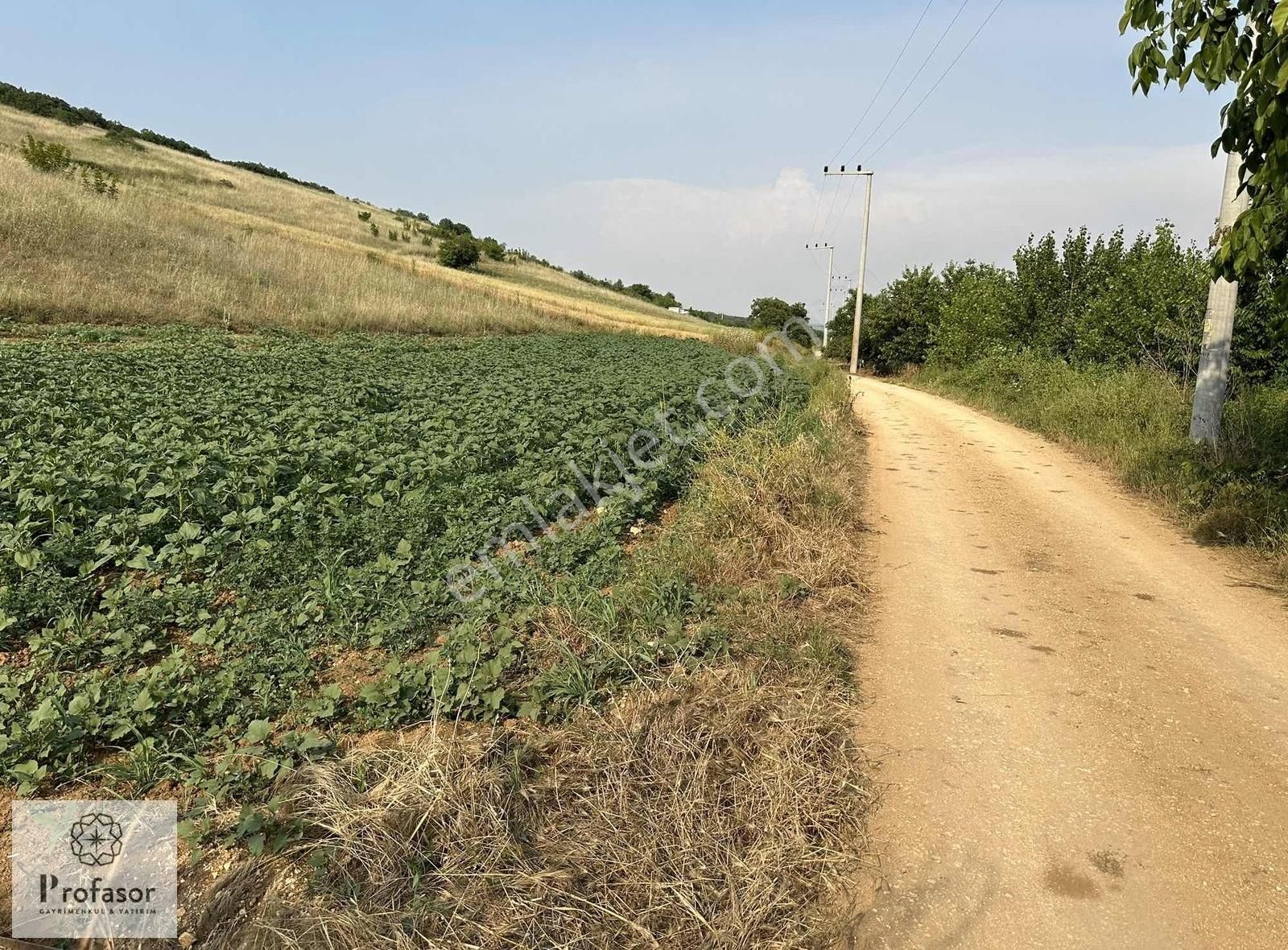 Profasor *dan Kestel Soğuksu *da Satılık Yola Cepheli İki Tapu