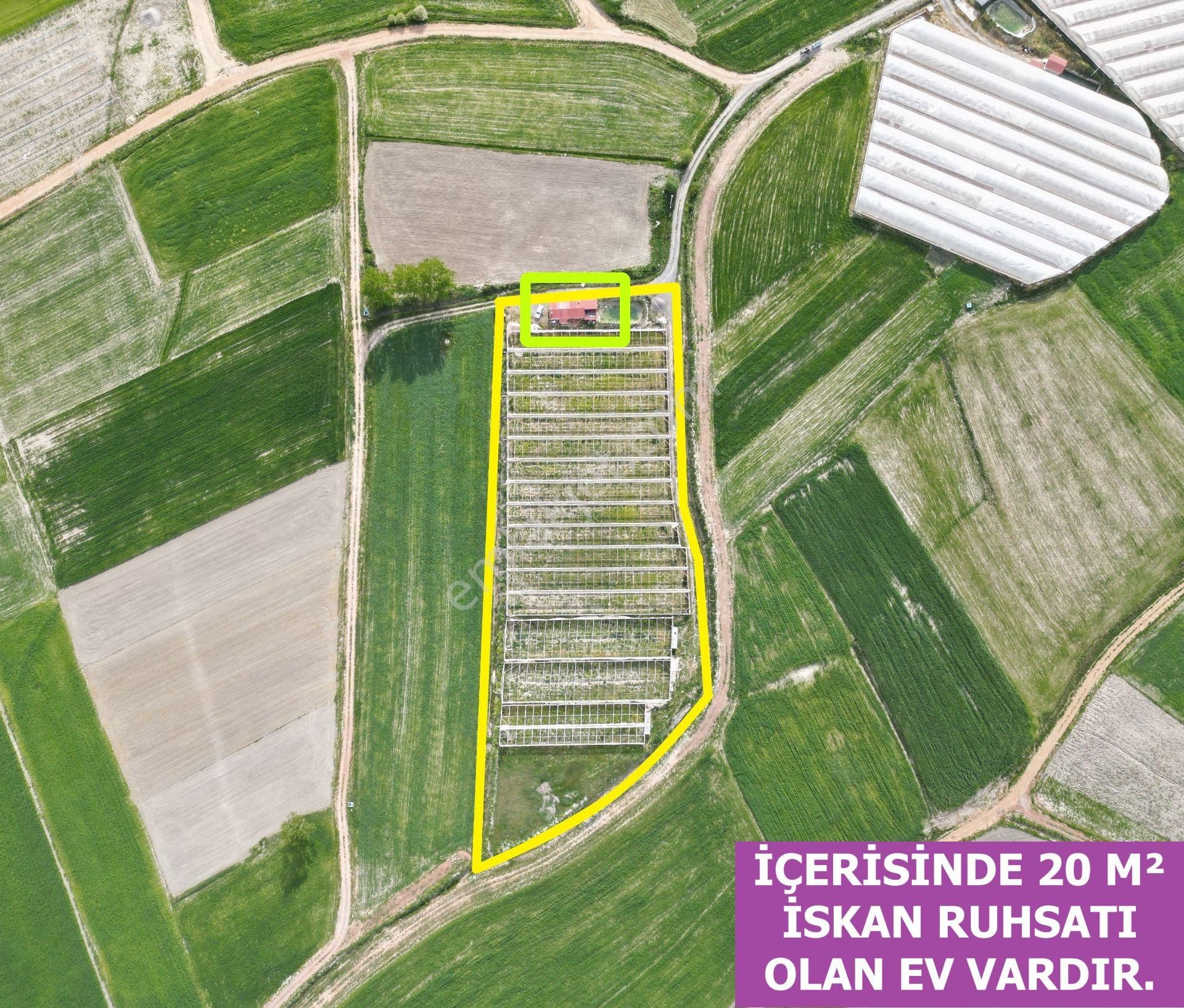🦋lobby Fortis'ten Satılık Çameli Merkezde Satılık 9425 M² Sera Ve Arazisi🦋 - Görsel 3
