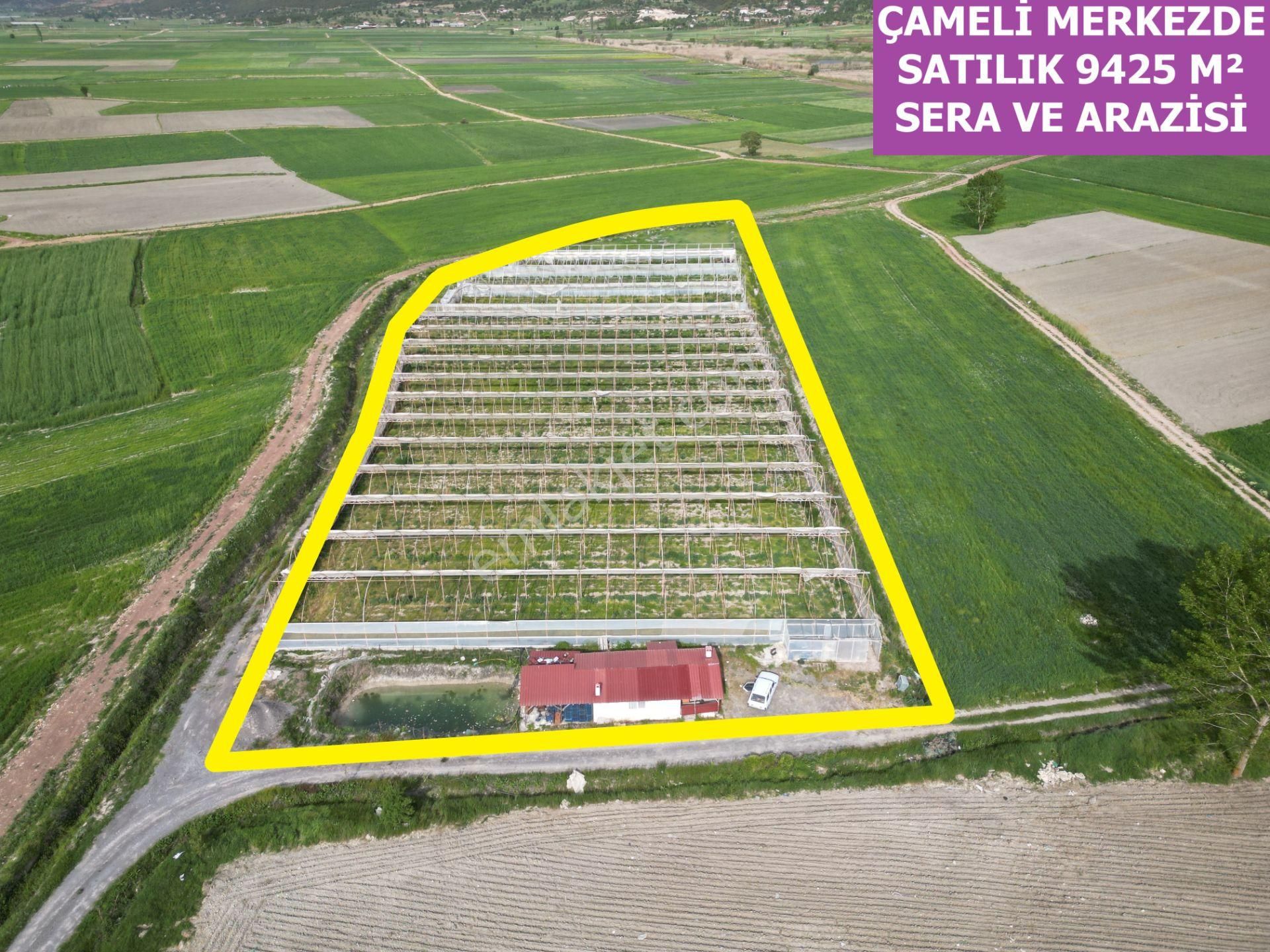 🦋lobby Fortis'ten Satılık Çameli Merkezde Satılık 9425 M² Sera Ve Arazisi🦋